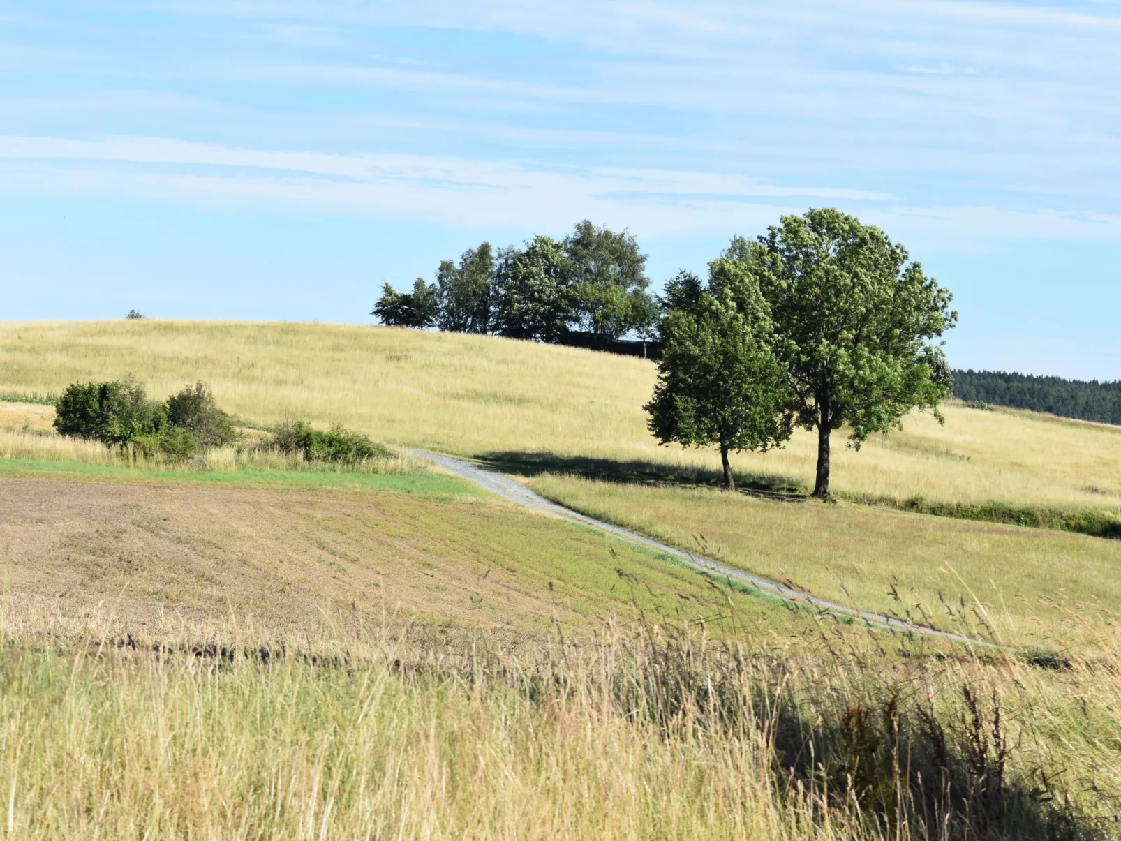 FeWo Siebert-Outside