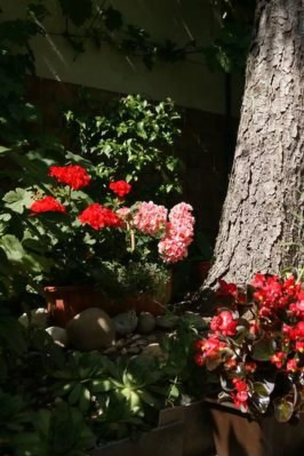 Kleine Dachwohnung-Outside