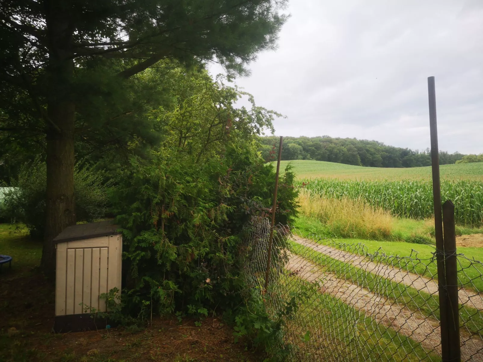 Landurlaub Mecklenburgische Seenplatte b. Waren Müritz-Outside