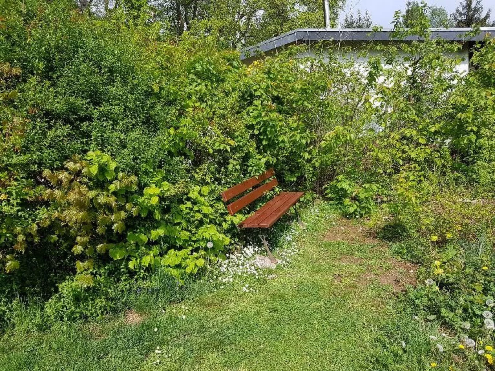 Buchengrund-Image-tags.info