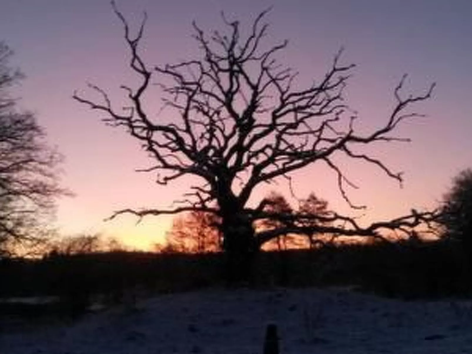 Reiterstübchen-Image-tags.info