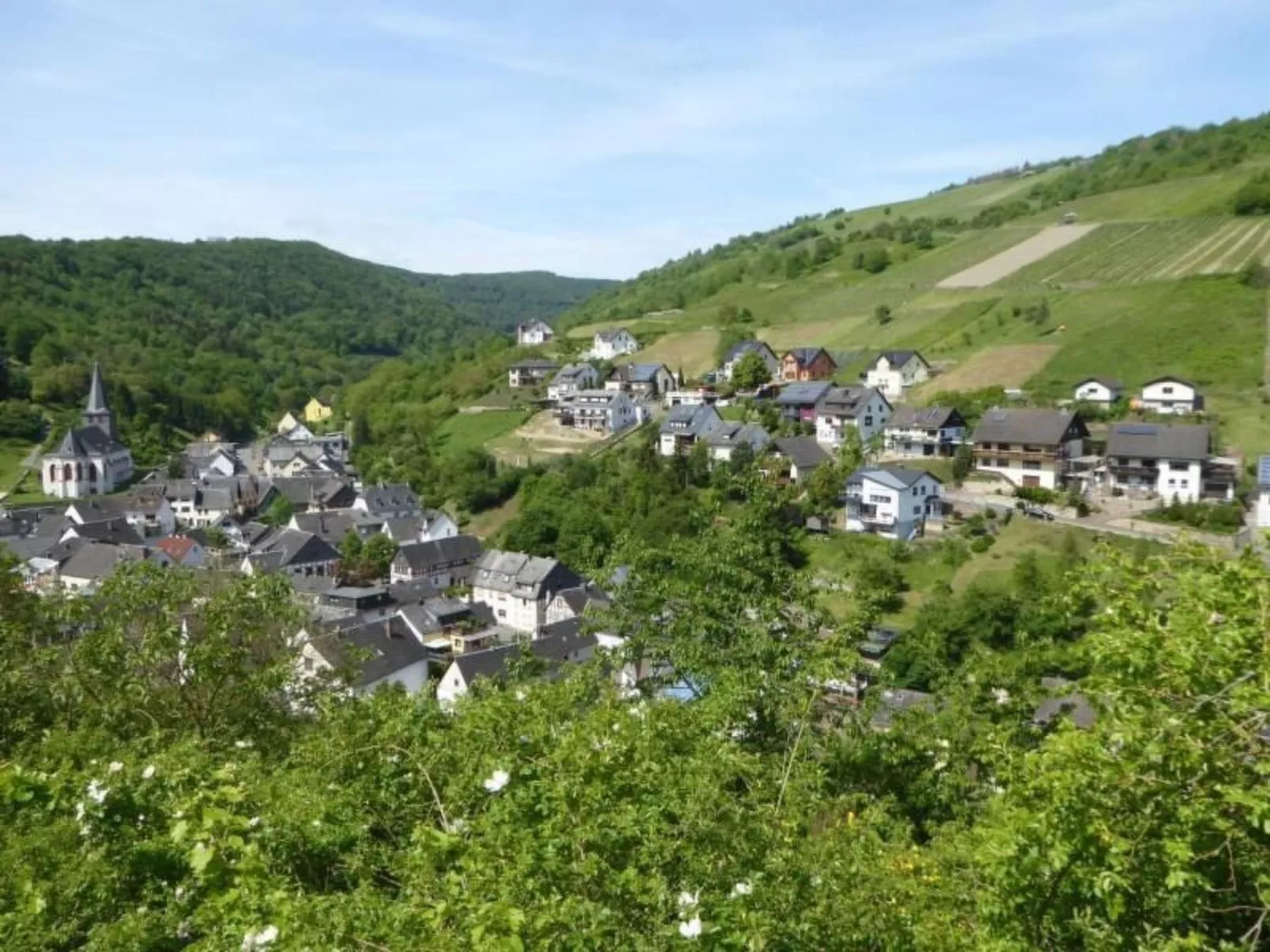 Schäfers Ferienwohnung Oberdiebach am Mittelrhein-Draußen