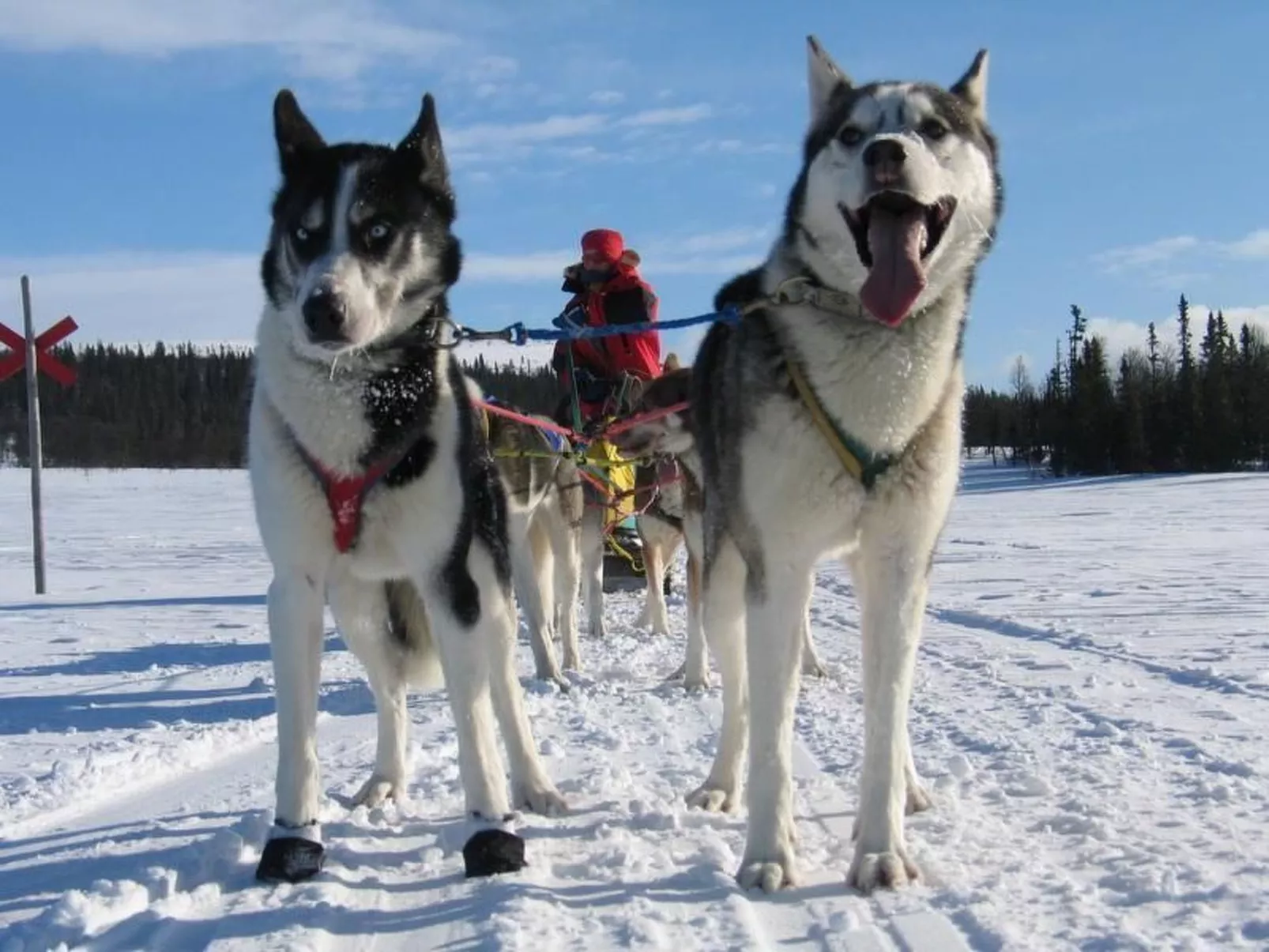 Gemütliches Blockhaus mit Kamin im Oviksfjäll-Draußen
