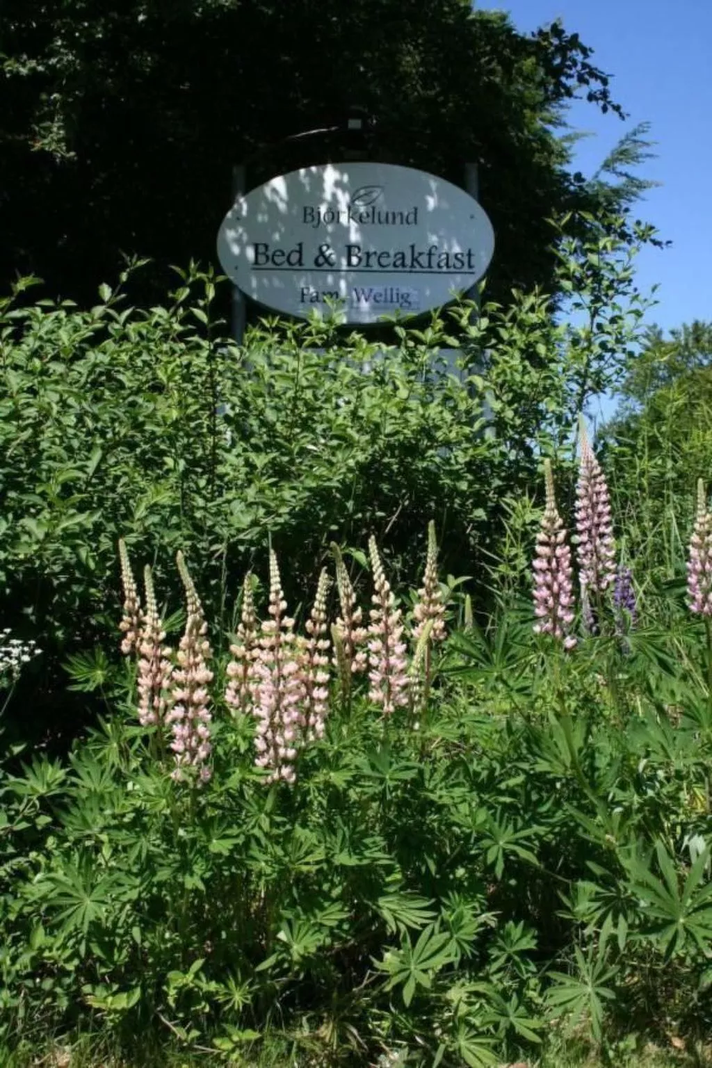 Wohnung Linné außerhalb von Älmhult-Image-tags.info