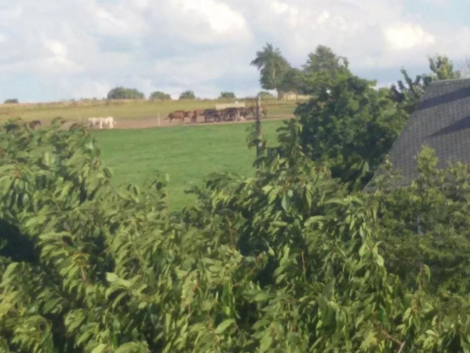 Ferienwohznung Huhle-Draußen