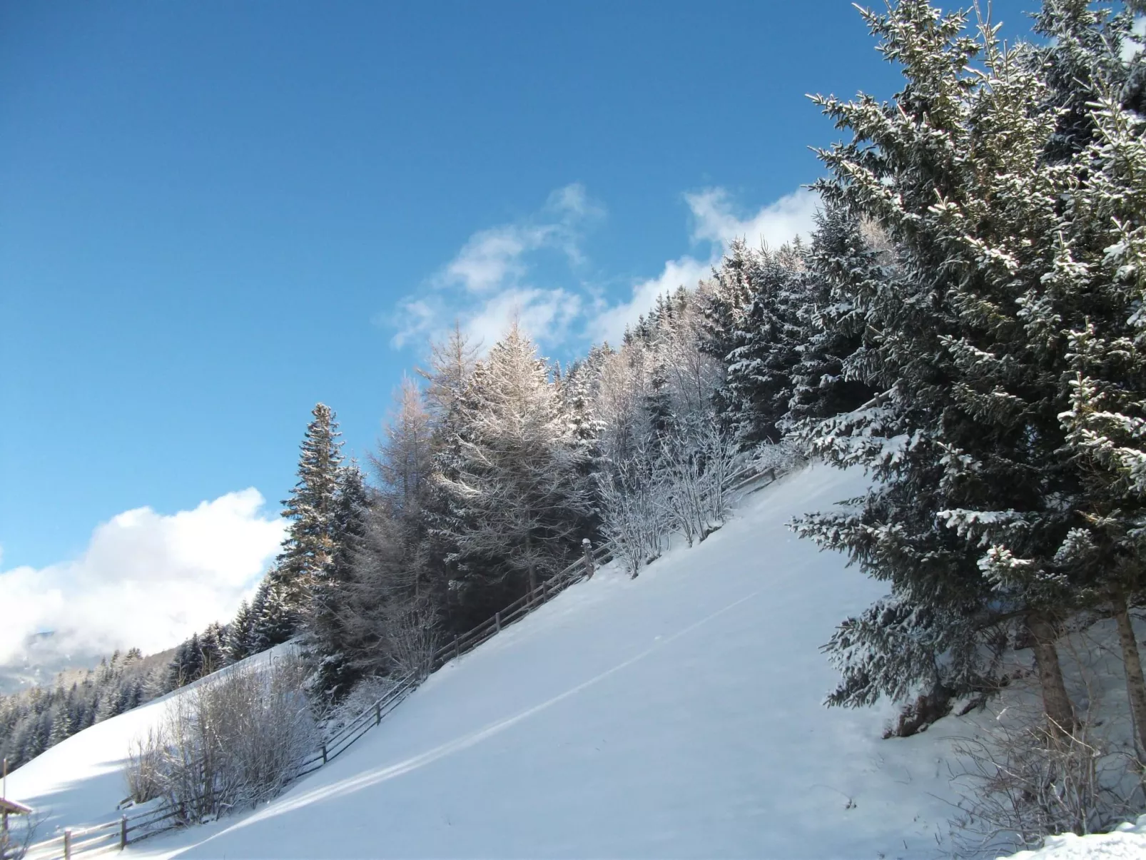 In ruhiger Lage am Waldrand-Outside