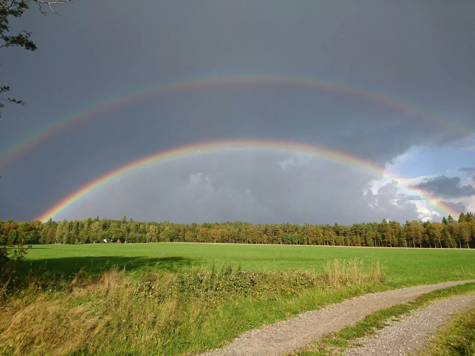 Saxarsviken-Draußen
