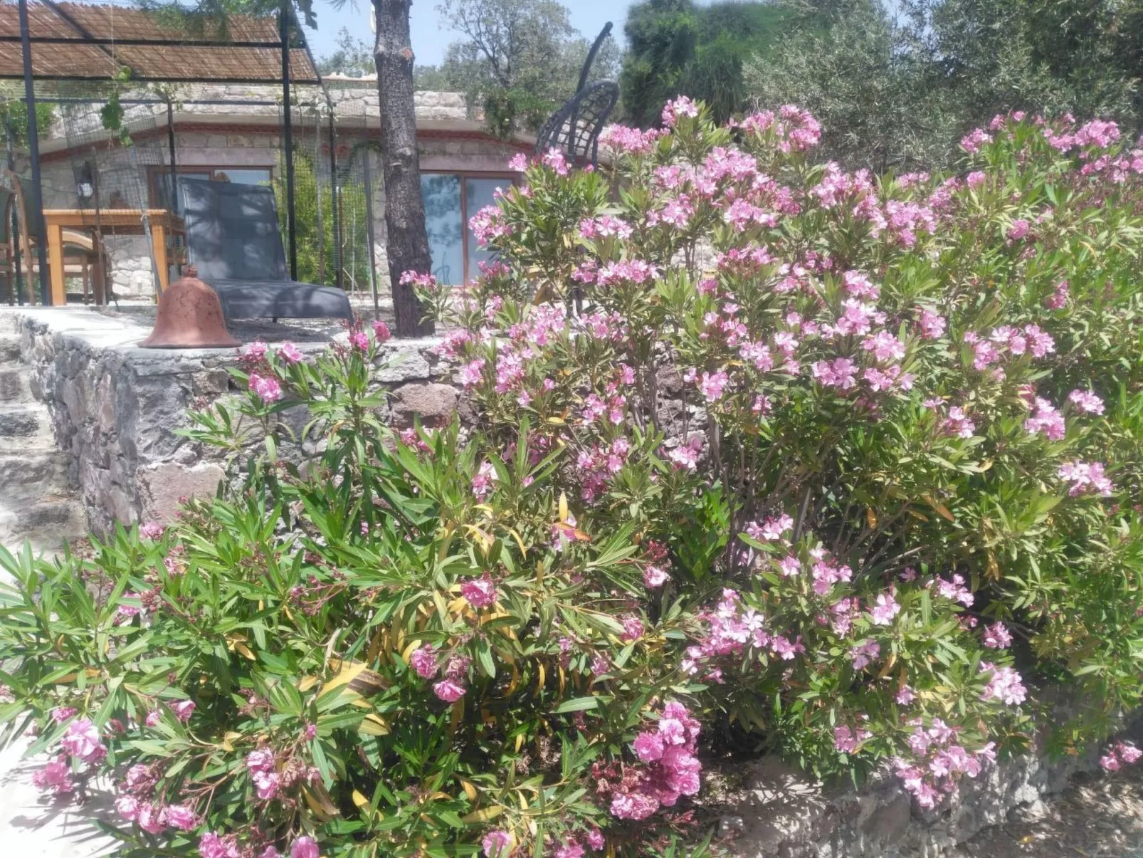 Assos Sivrice Gästehaus-Outside