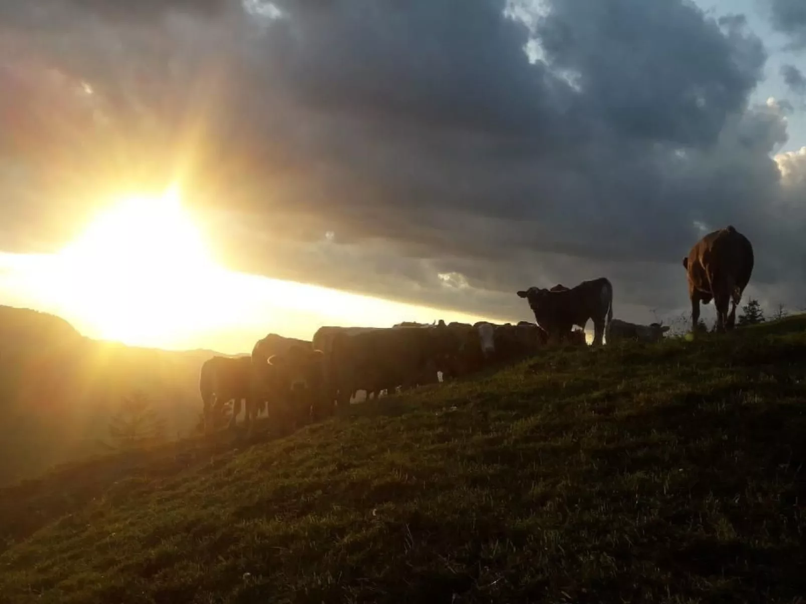 Ferien im Gugger - Wohnung Churfirsten-Outside