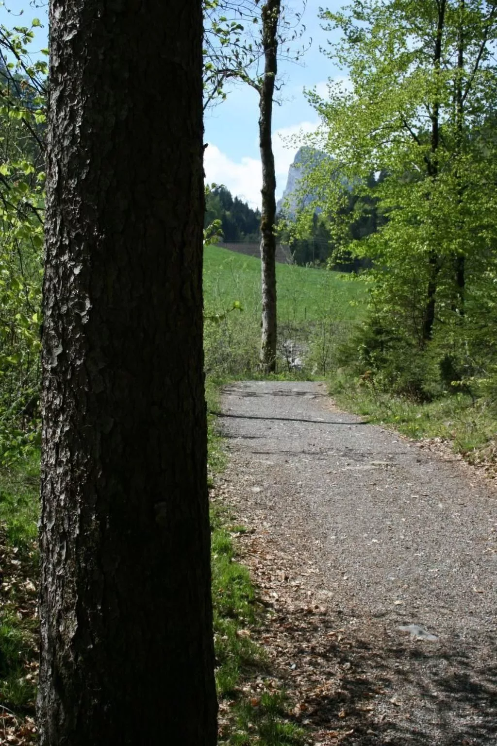 Fewo mit Herz-Draußen