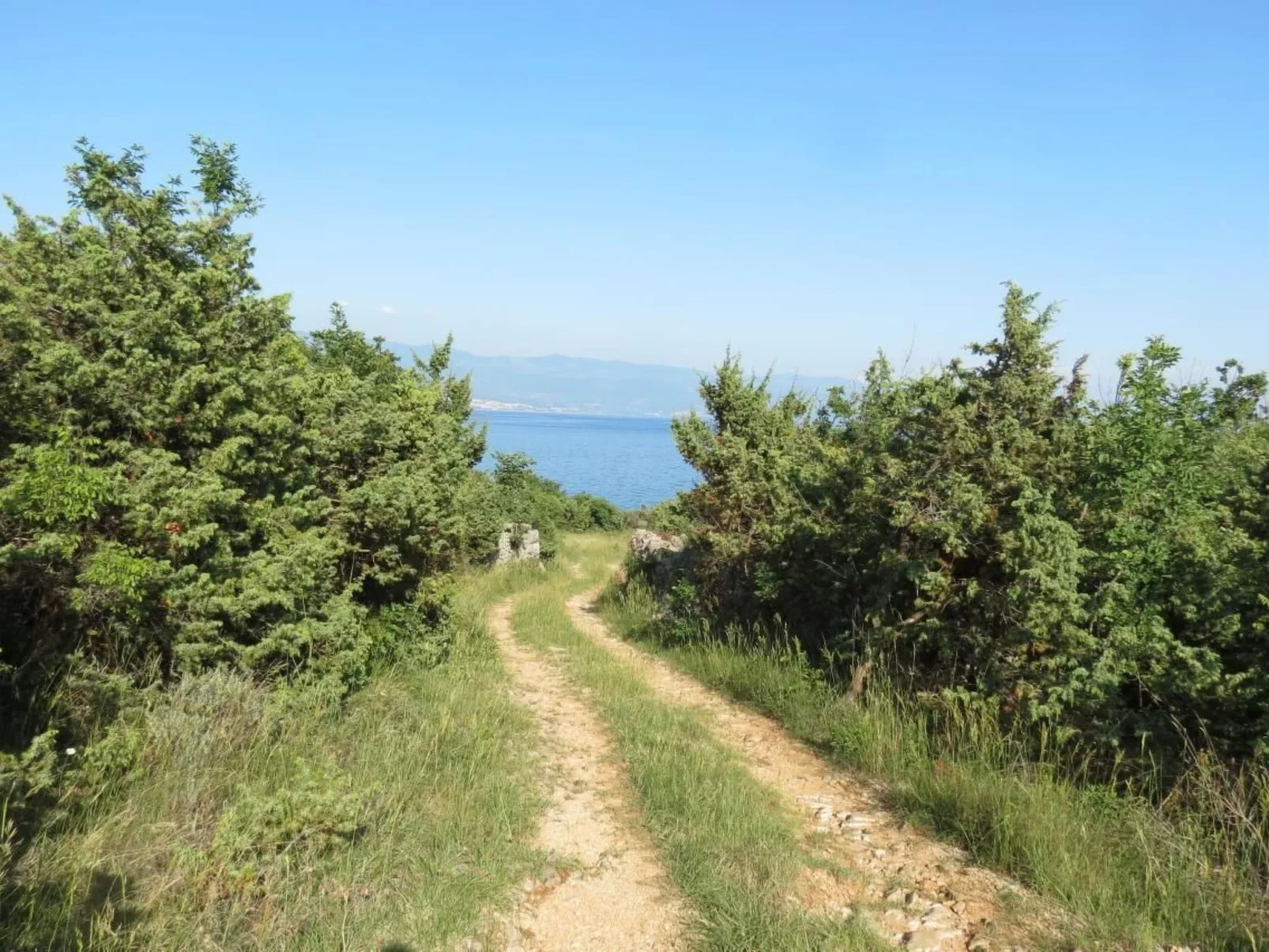 Mit Wasserblick-Image-tags.info