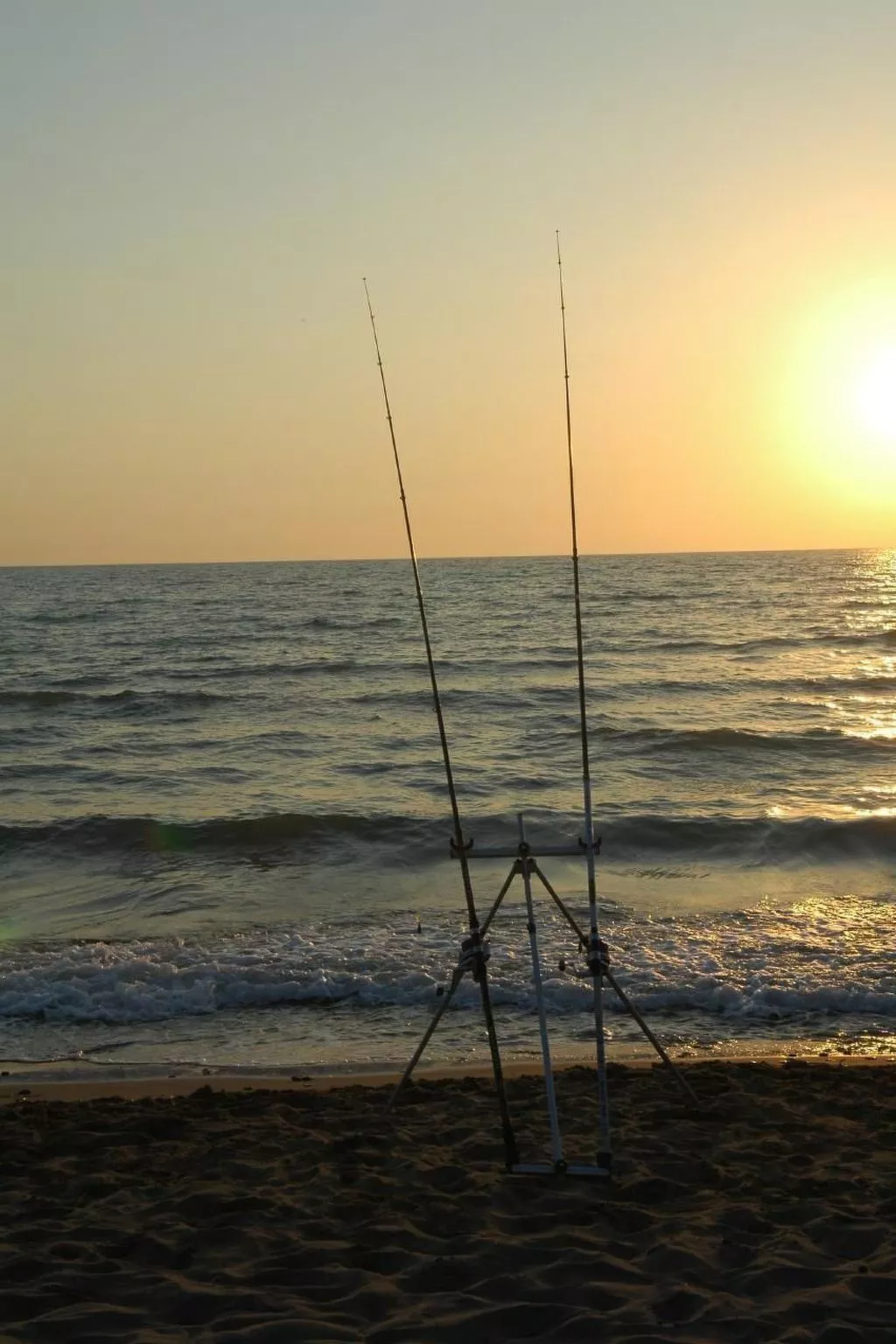 Villa Giacaranda-Image-tags.info