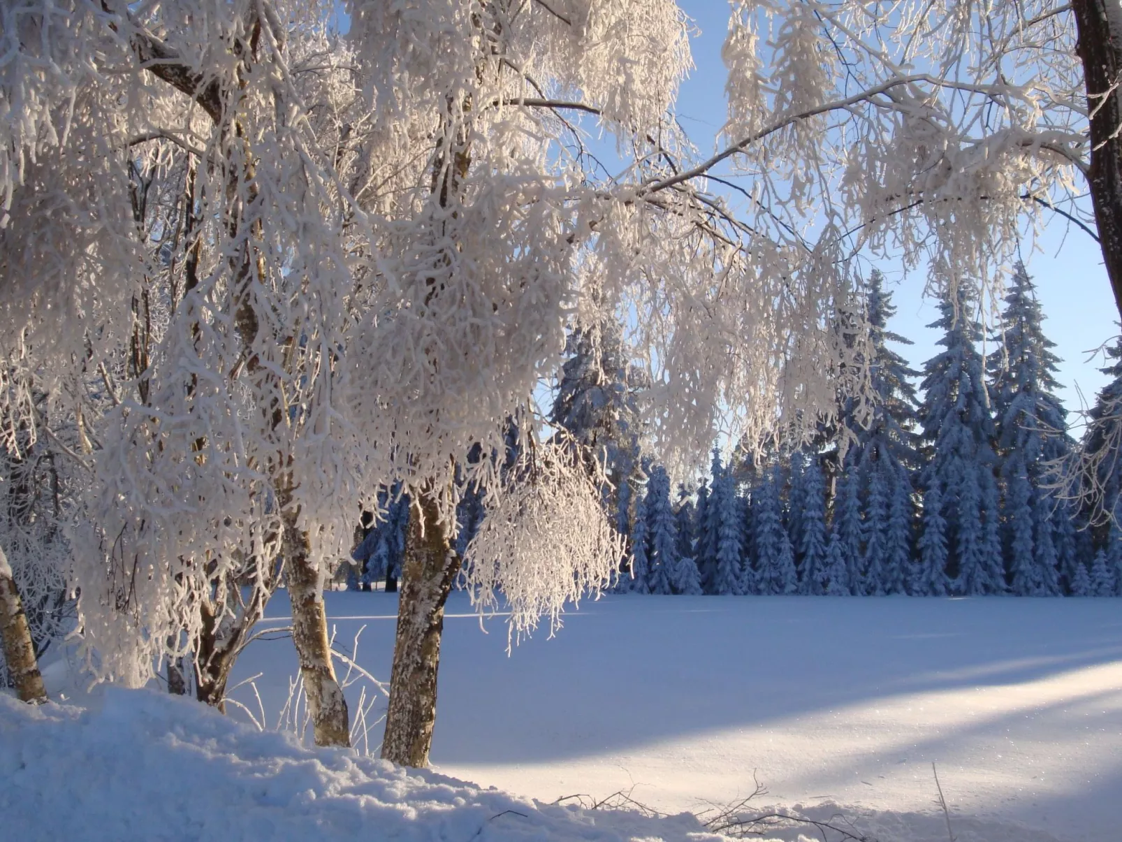 Vogtlandresidenz - Draußen