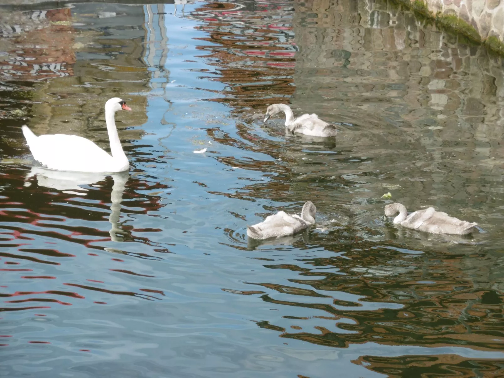 In Alt Travemünde-Draußen
