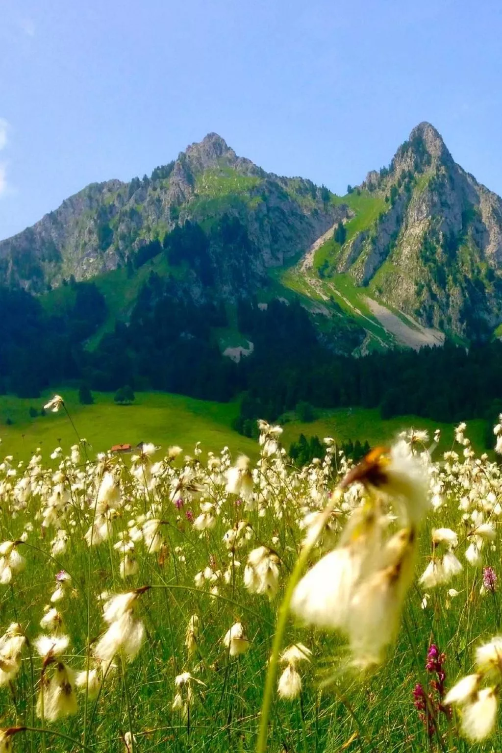 Brunni-Alpthal direkt an den Mythen-Bergen-Outside