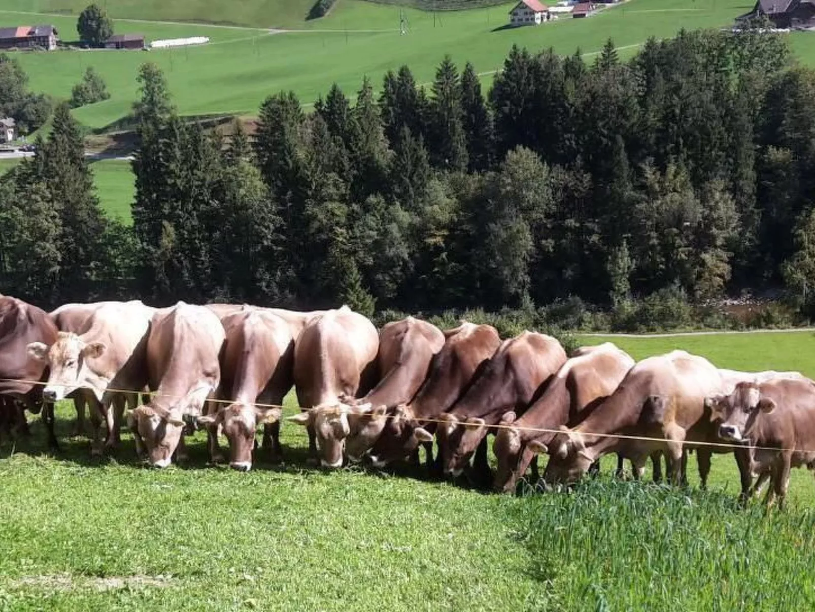 Schwändelifluh-Draußen