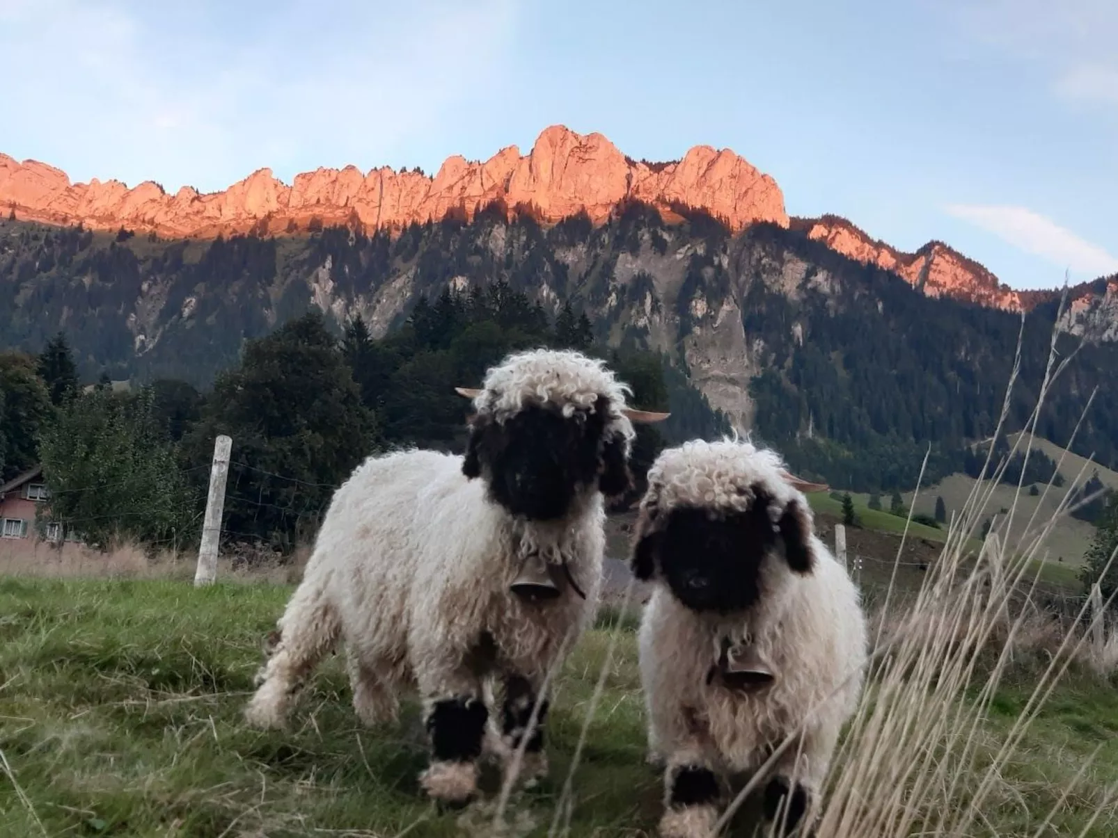 Rothornblick-Image-tags.info