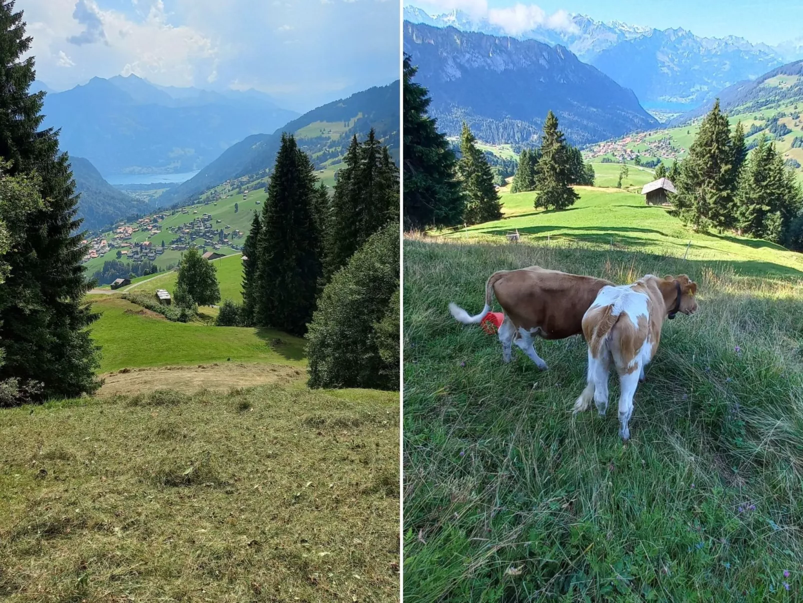 Fewo Wychelboden-Outside