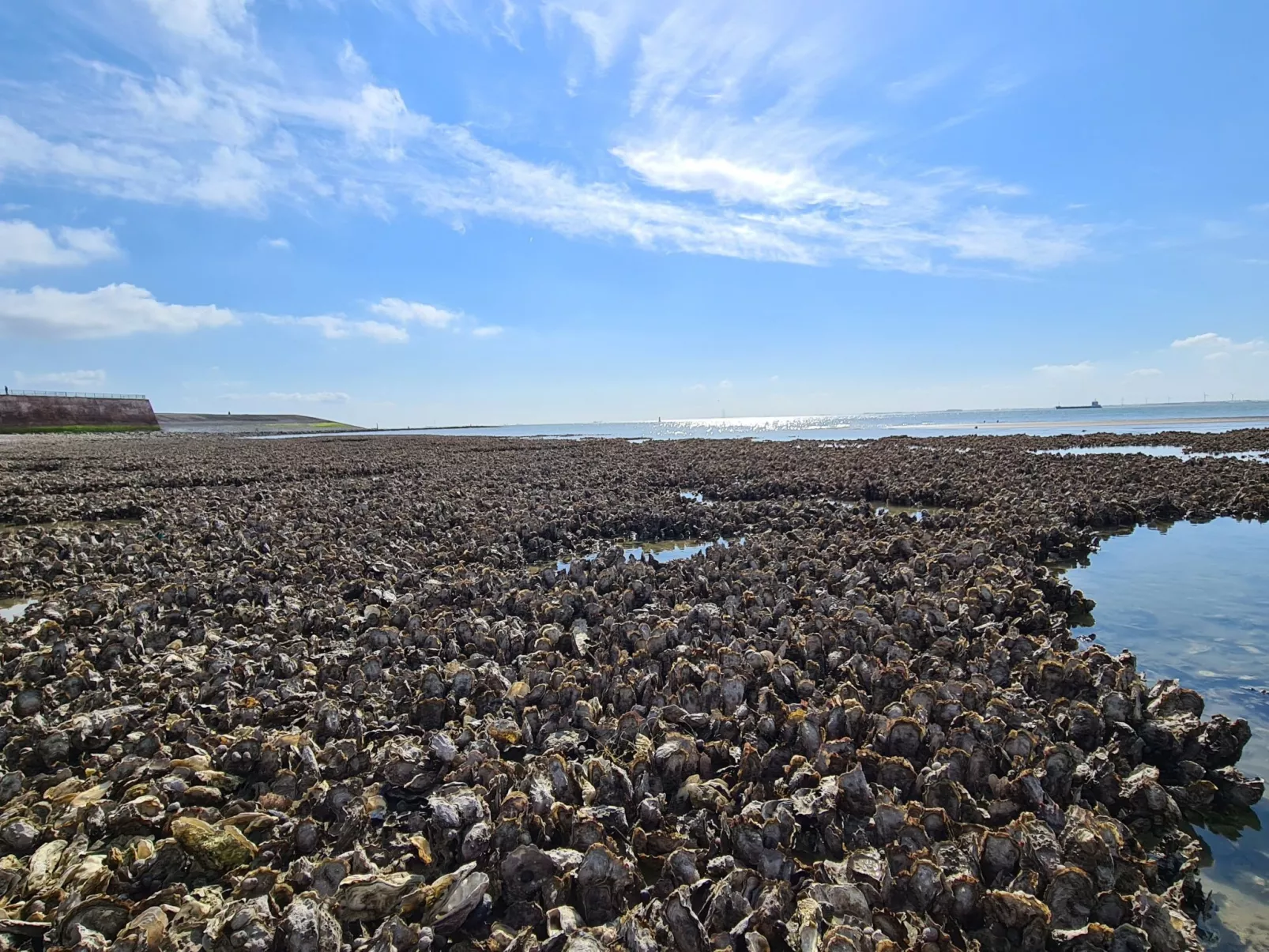 "Zeezicht" mit einzigartigem Meerblick-Dehors