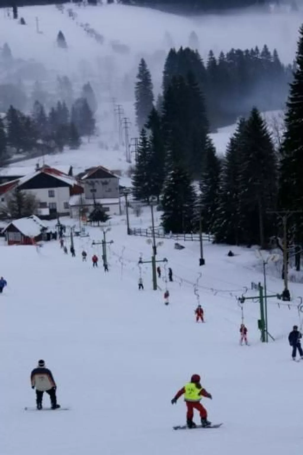 U Semushky-Image-tags.info