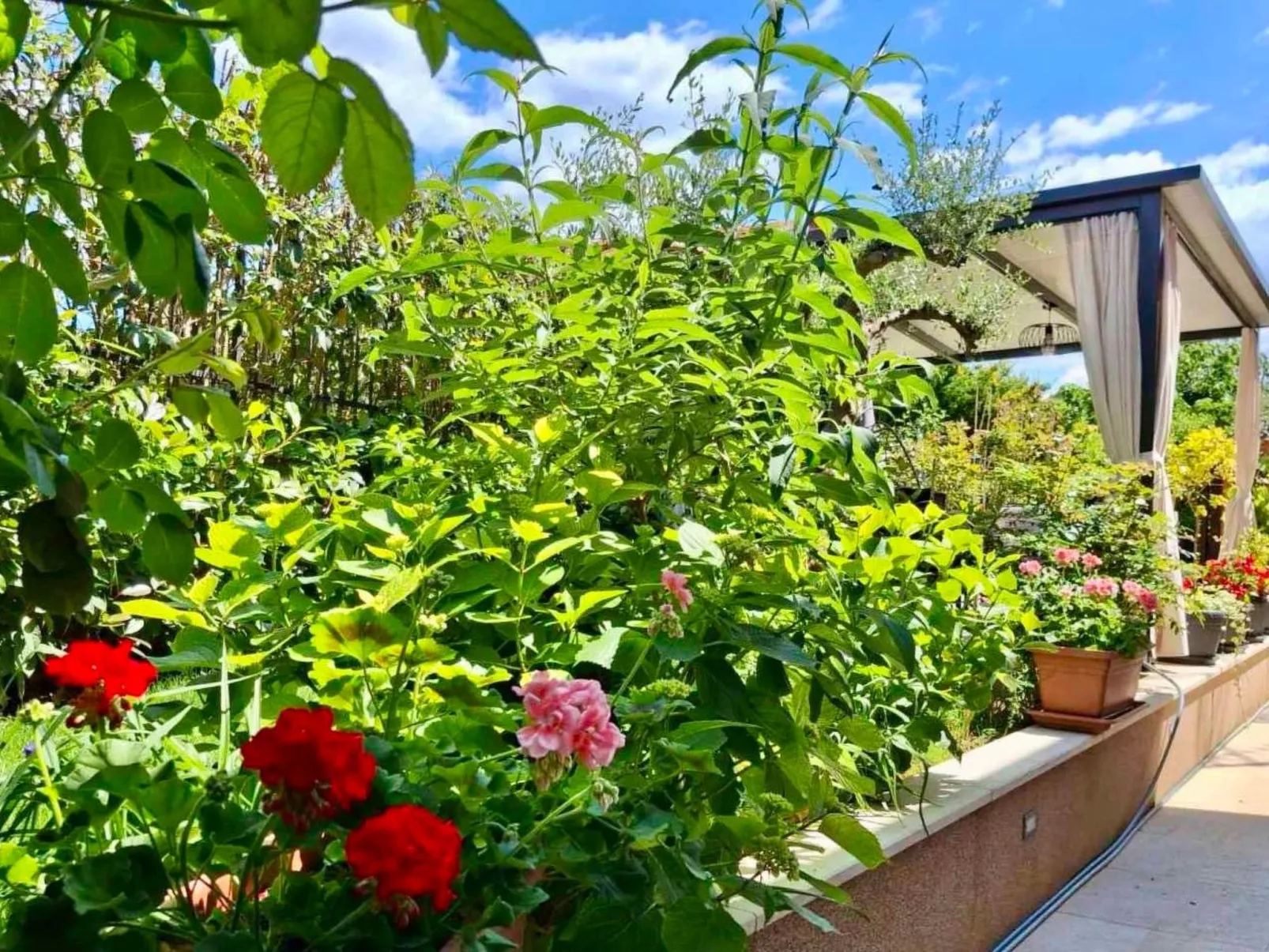 Schöne Wohnung Funtana Nr.3-Dehors