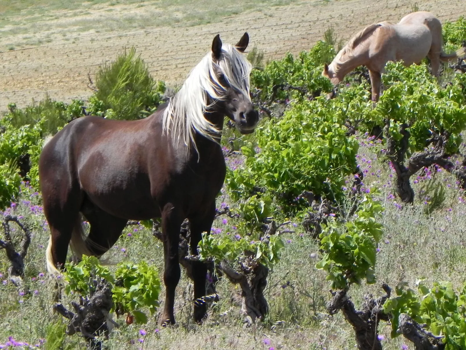 Residence du Grazel-Dehors