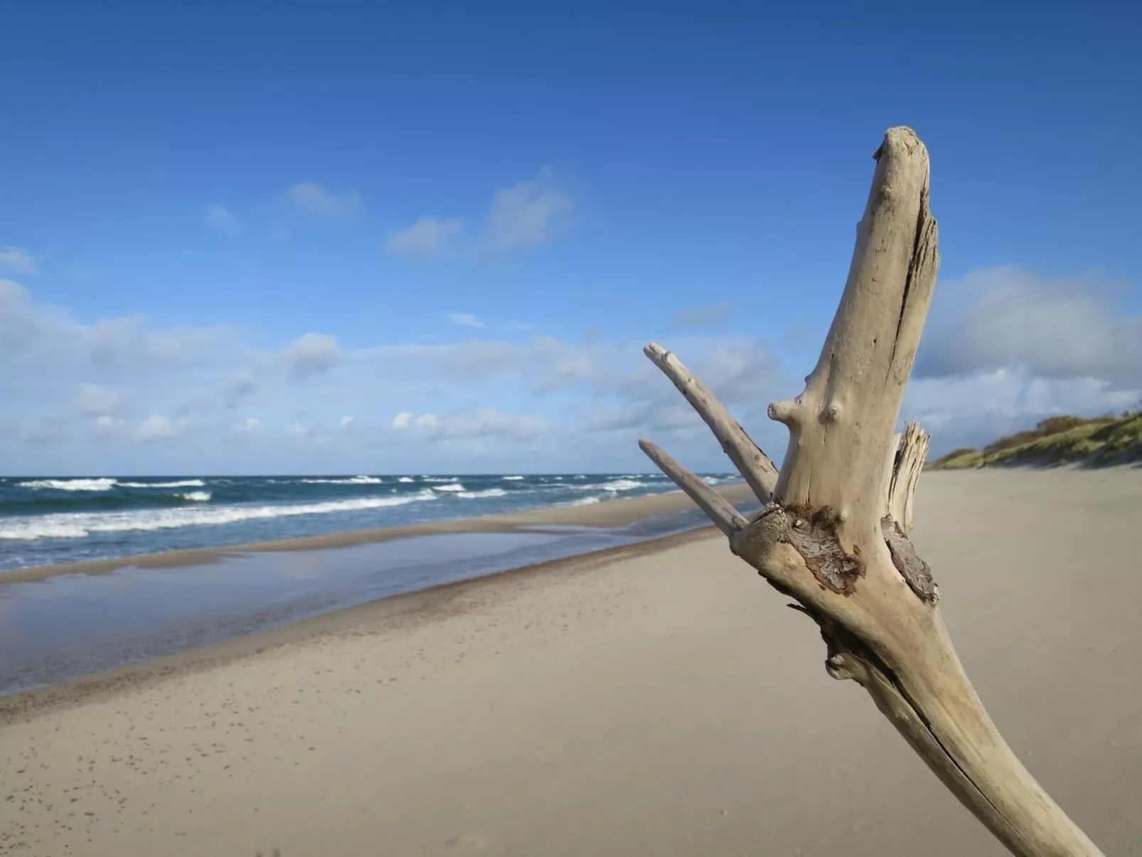 Fewo 2-Image-tags.info