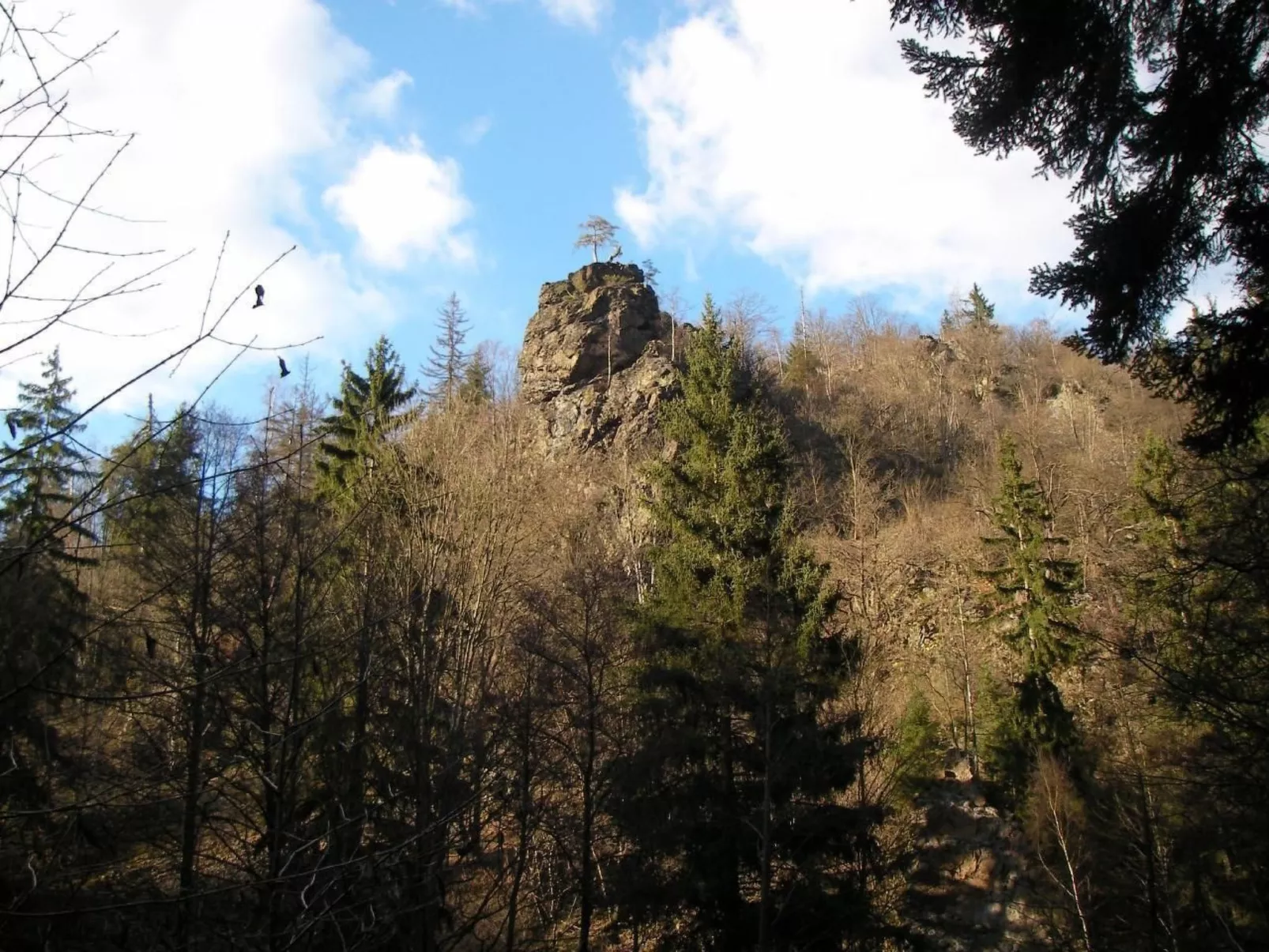 Haus "Hermann"-Outside