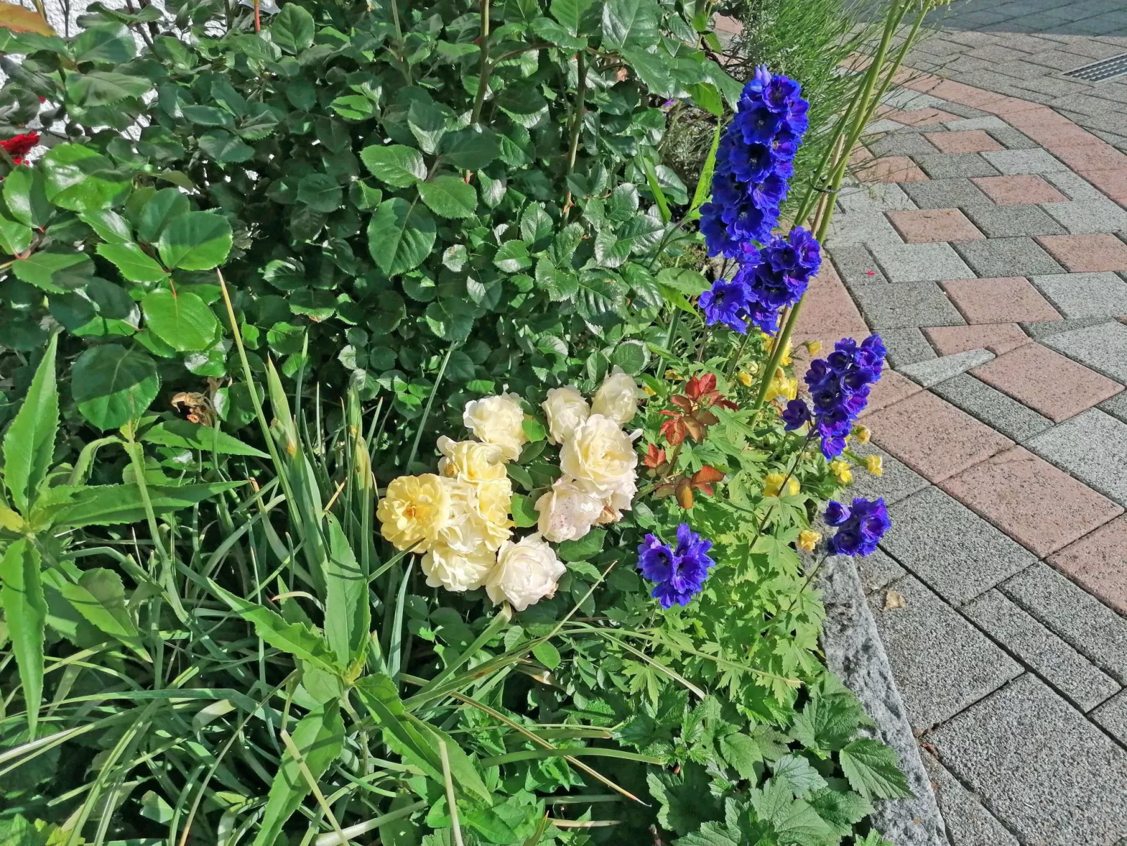 Ferien-Apartment-Image-tags.info