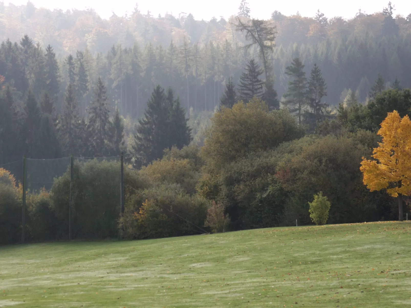 Cat'n'Boots Haus-Draußen