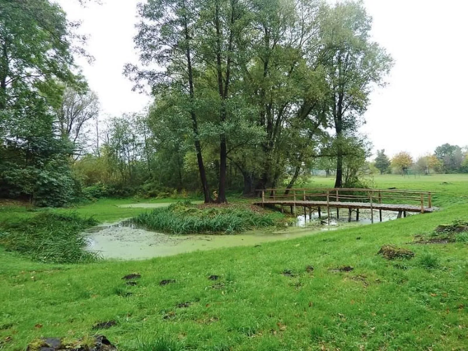 Müritzbrise groß in in Ludorf - Outside