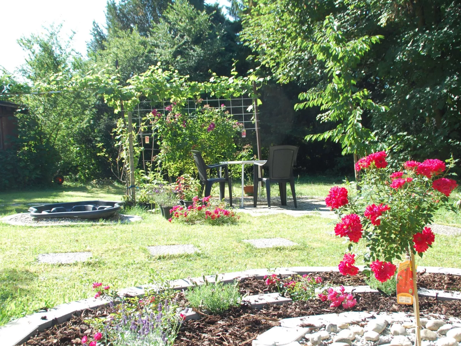 Rose Terrace-Draußen