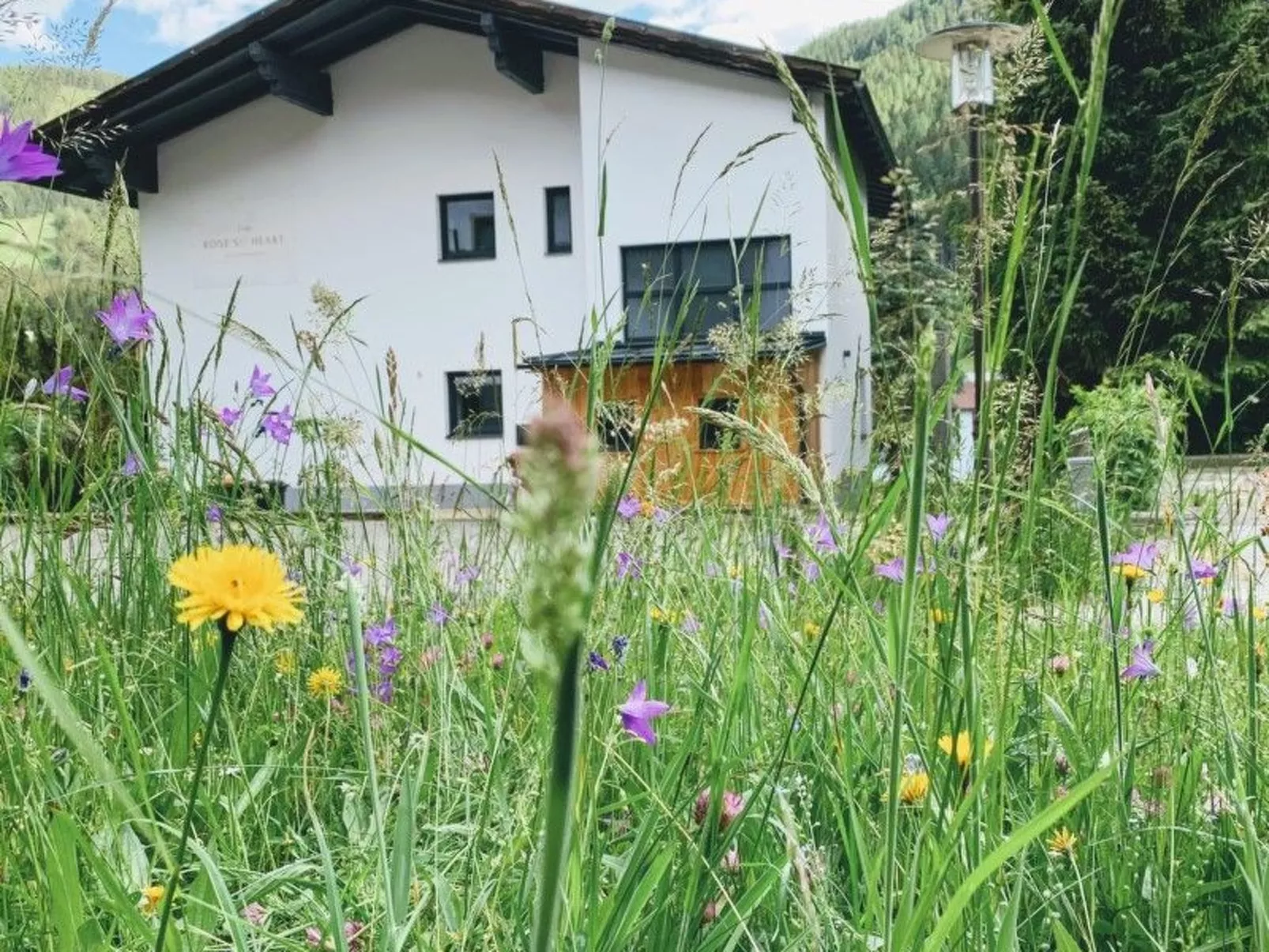 Blossomtime-Image-tags.info