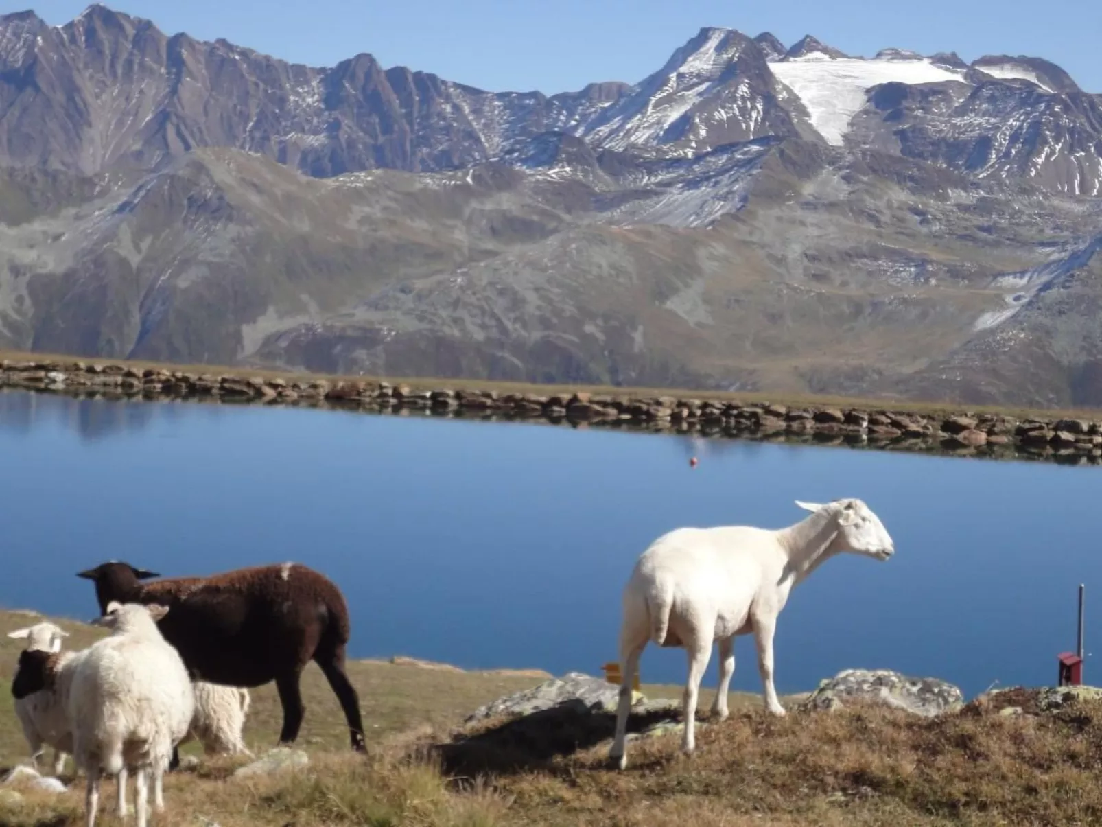 Chalet Stefanino, 3 1/2 Zimmer-Draußen