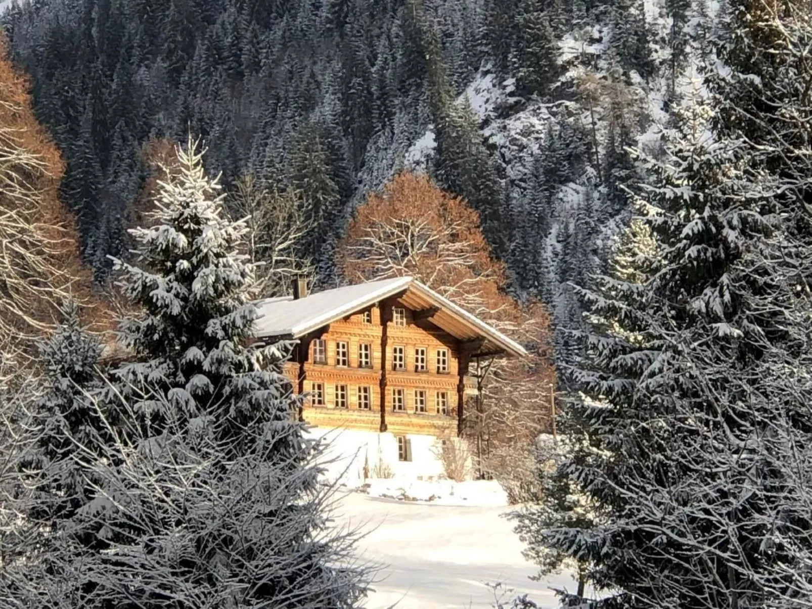 Wohnung Niesenblick-Dehors