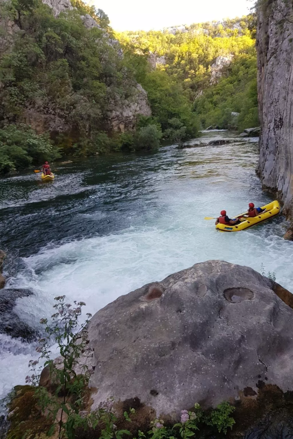 La Finca OliveTree-Outside