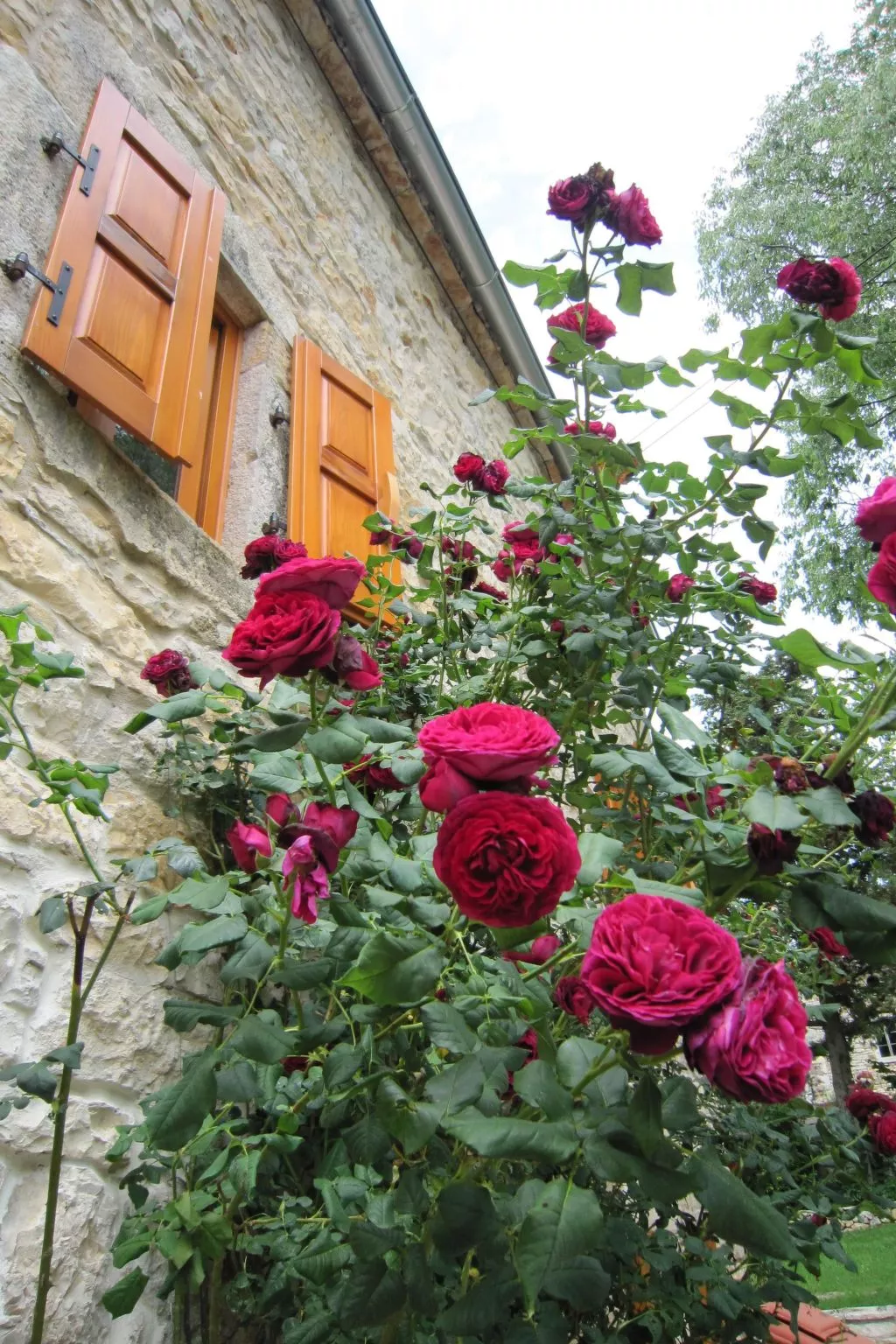 Casa Gaia Grande-Outside