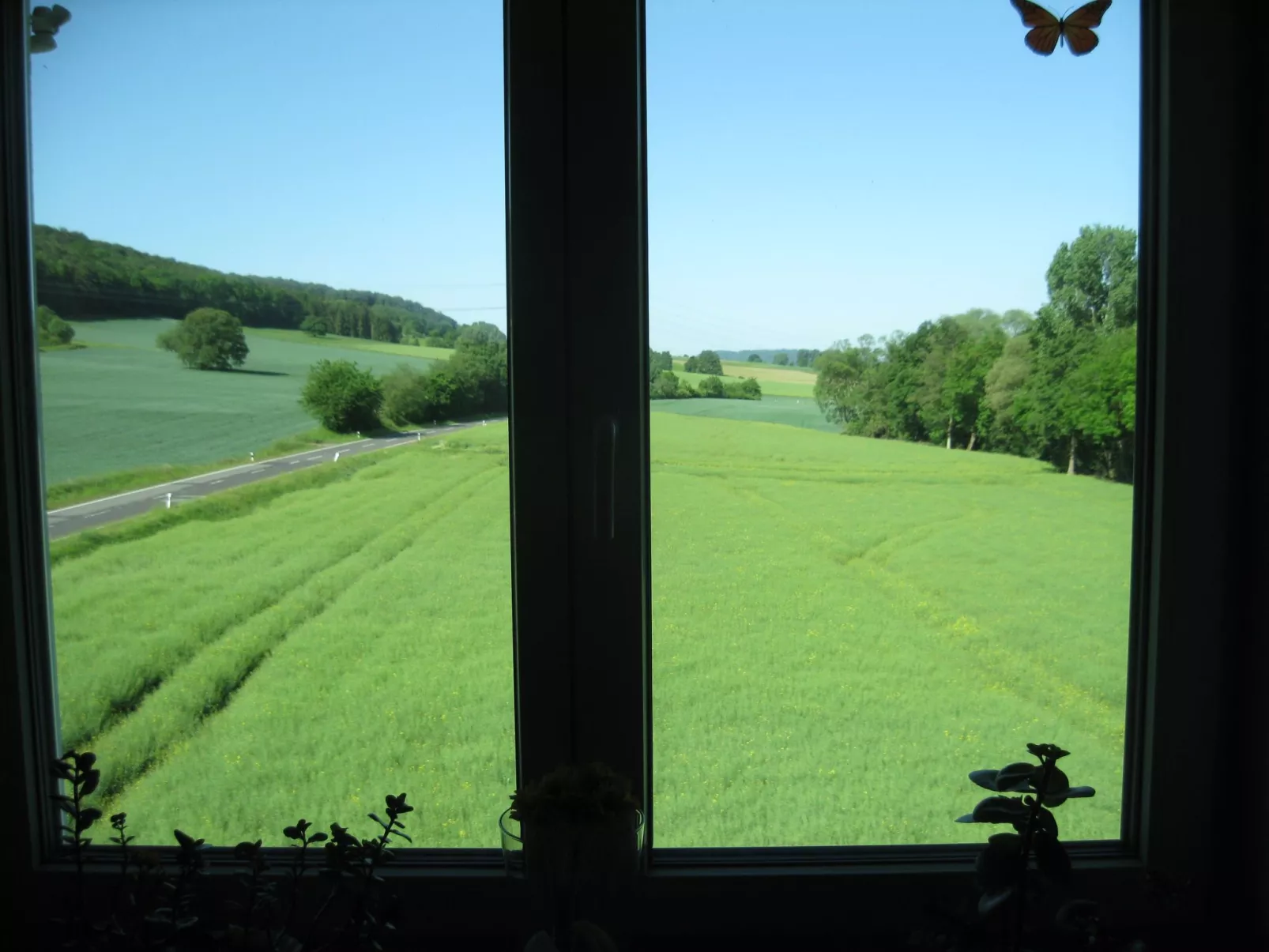 Gästehaus Kühne-Draußen