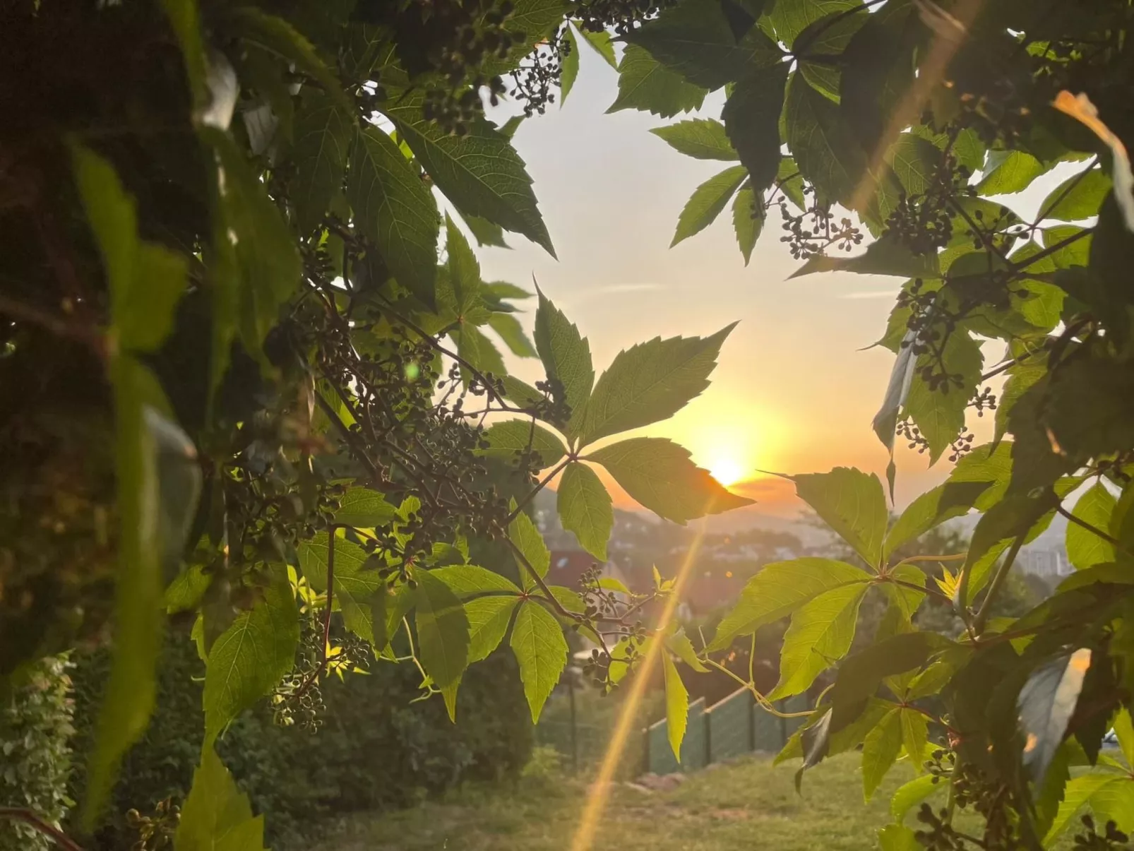 Kleines Ferienhaus mit Garten und Grill in Garitz-Image-tags.info