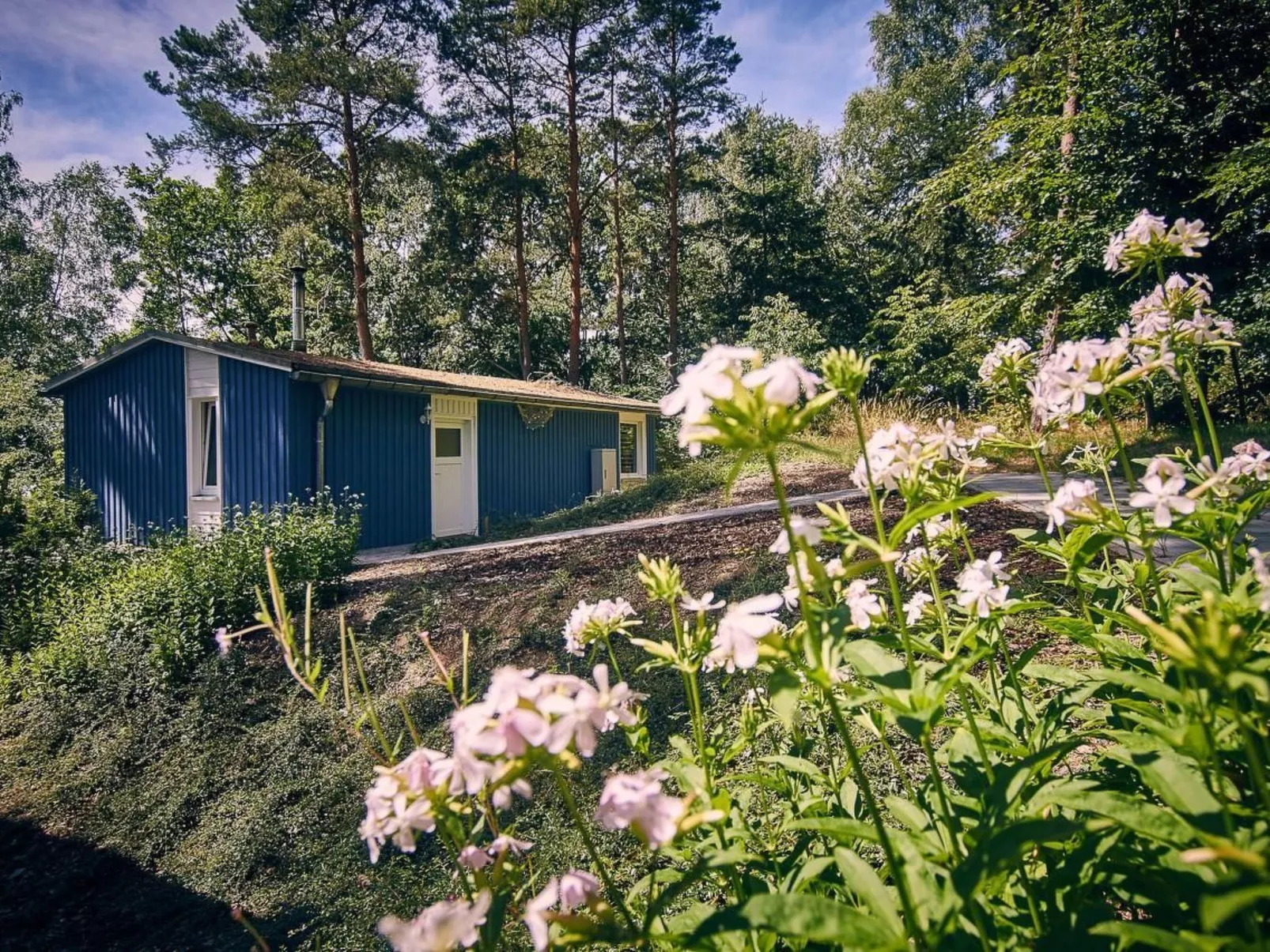 Waldhäuser-Draußen