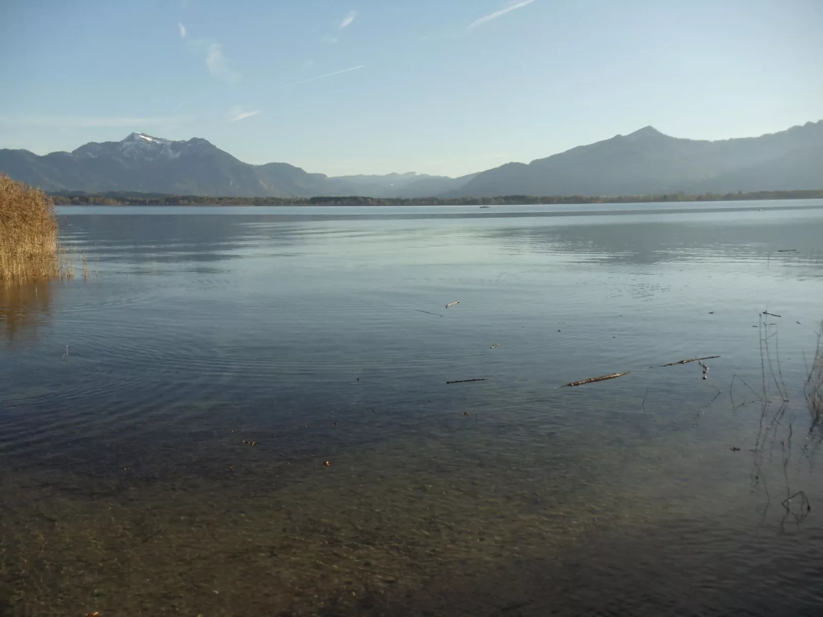 Martina-Image-tags.info