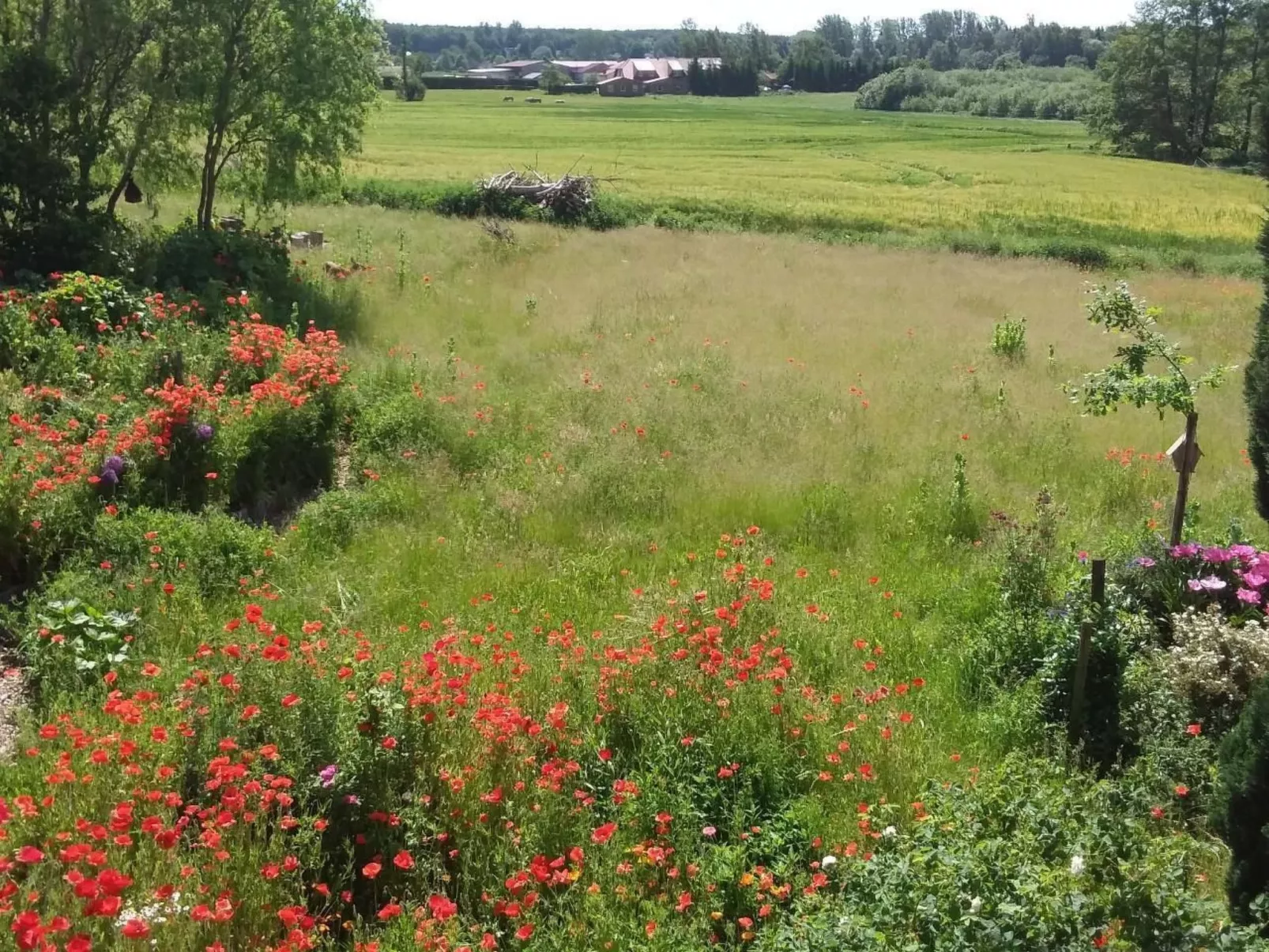 Schwalbennest-Outside