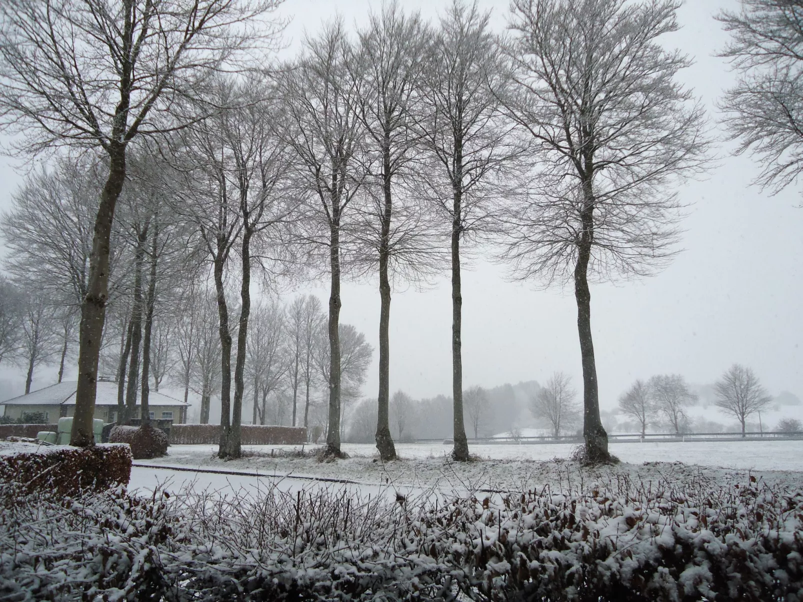 Am Hohen Venn-Outside