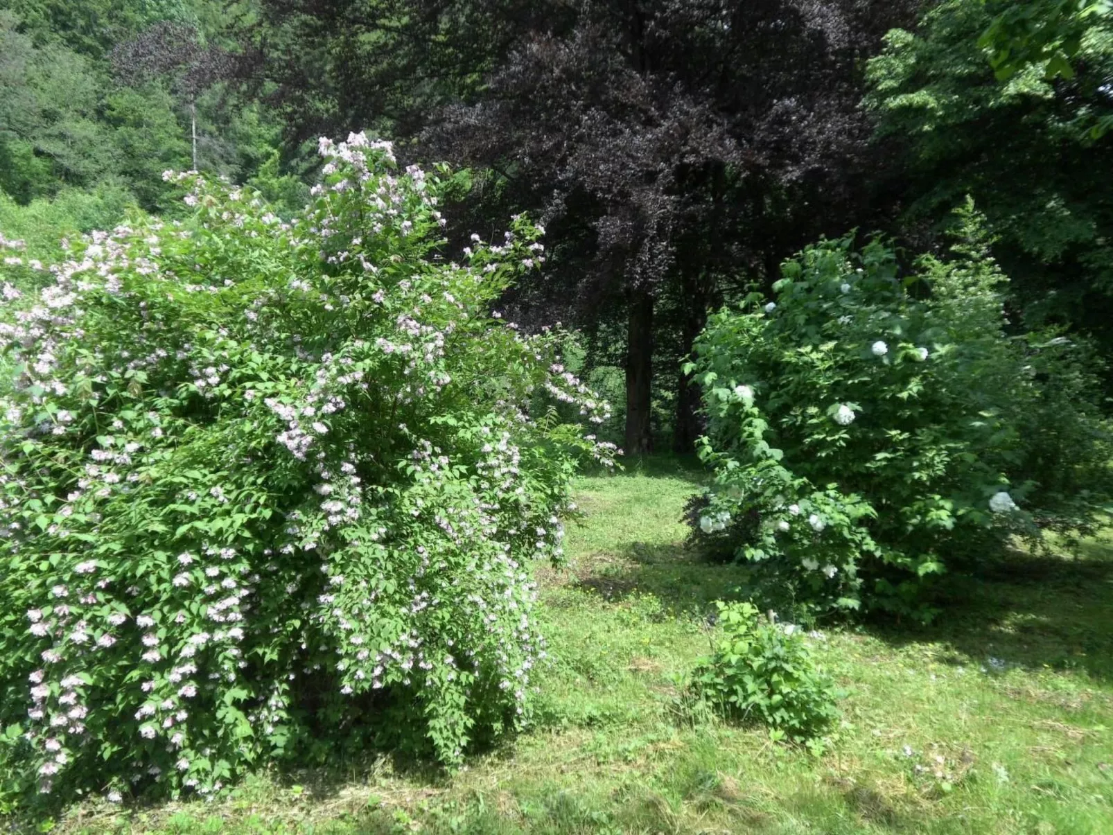 Design Ferienwohnung in historischer Villa-Dehors