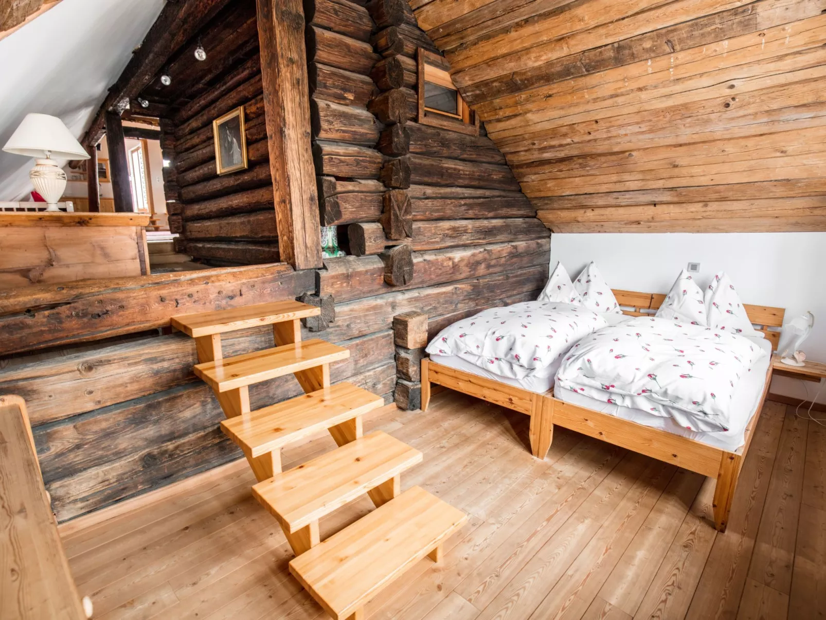 Napoleonvilla in Rennweg am Katschberg-Inside