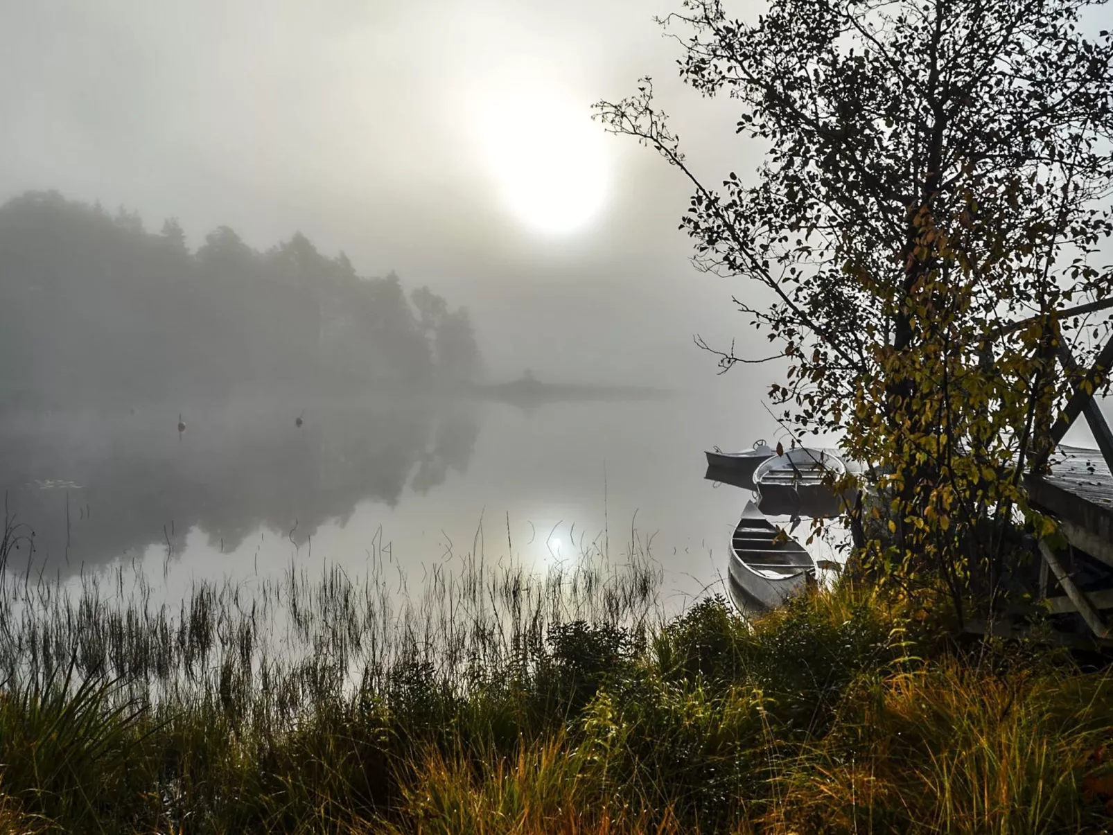 Schwedisches Glück, zwischen Wäldern und einem See-Image-tags.info