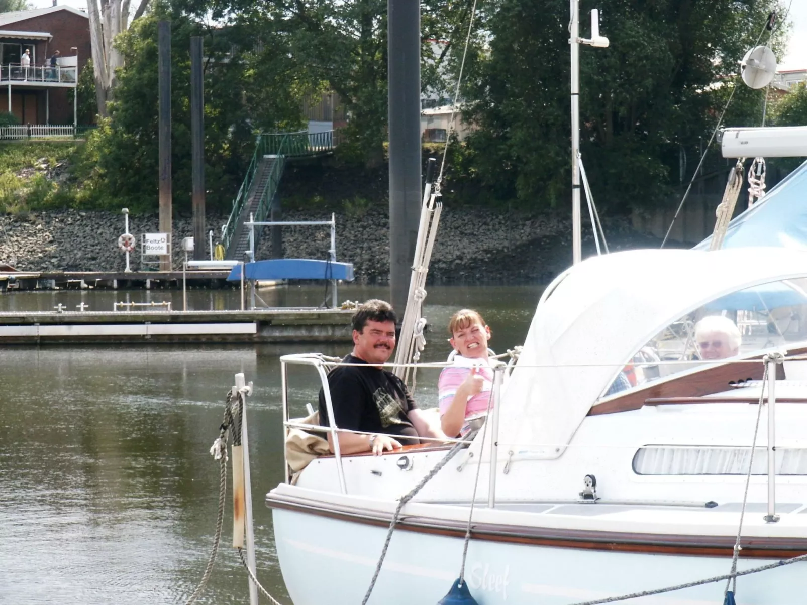 Silbermöwe-Draußen