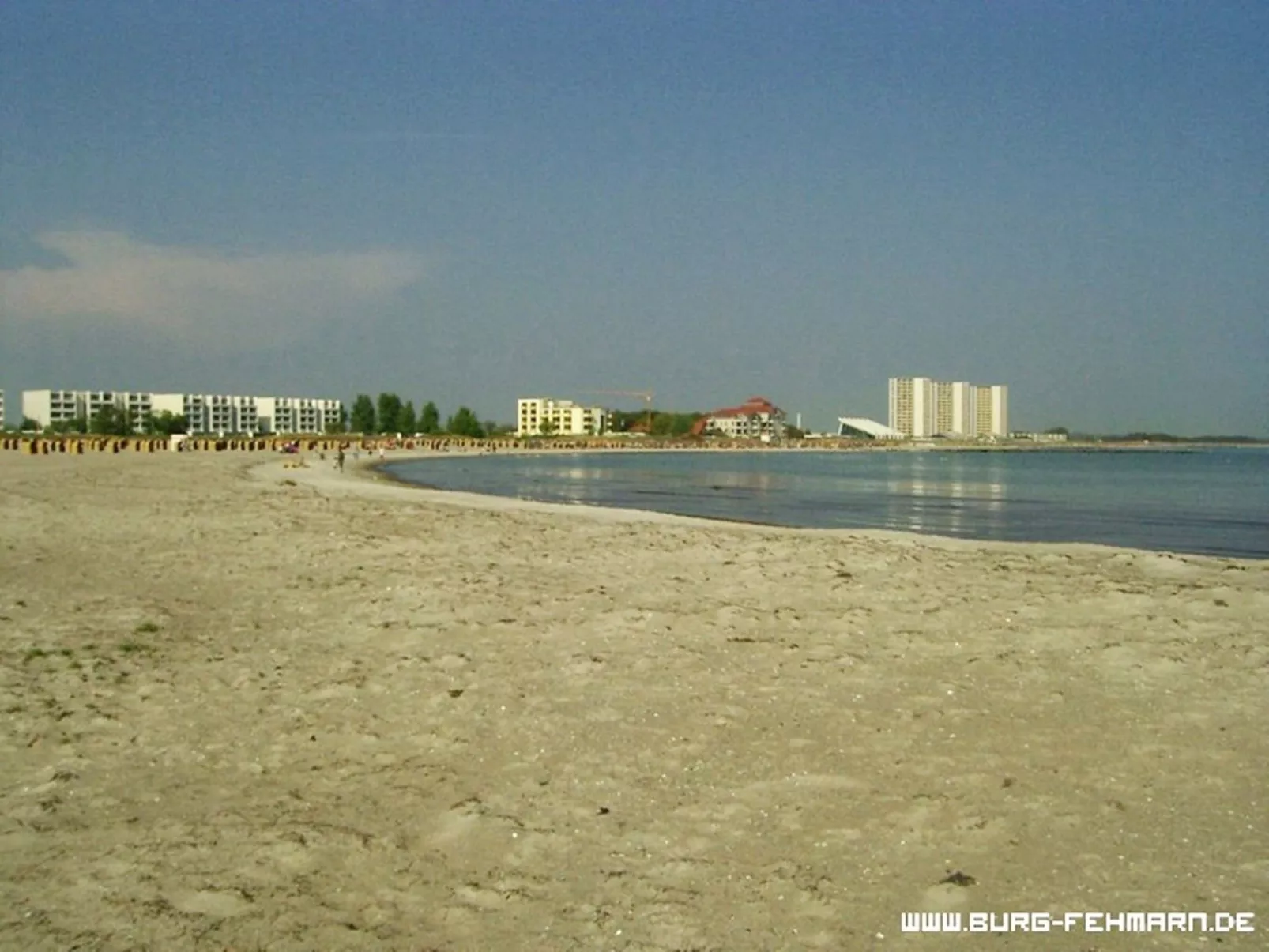 Heringsmöwe in Neue Tiefe-Draußen