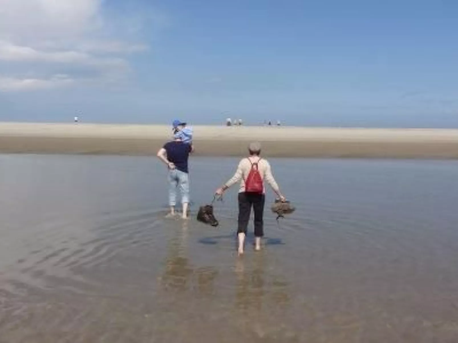 "Der Austernfischer"-Image-tags.info