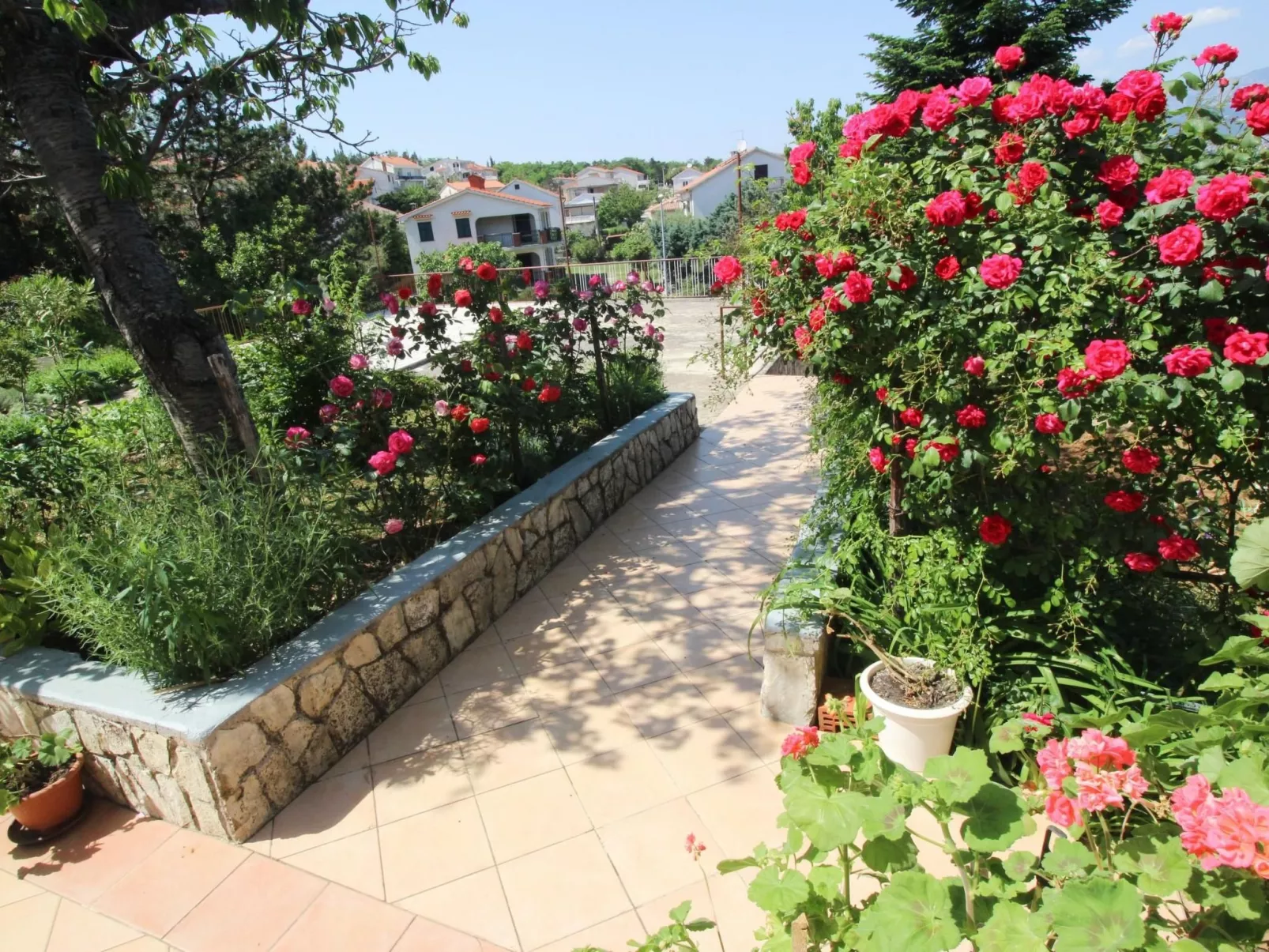 Apartment Dragica-Outside